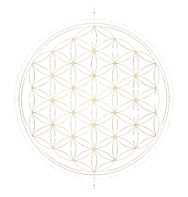 The Living Field