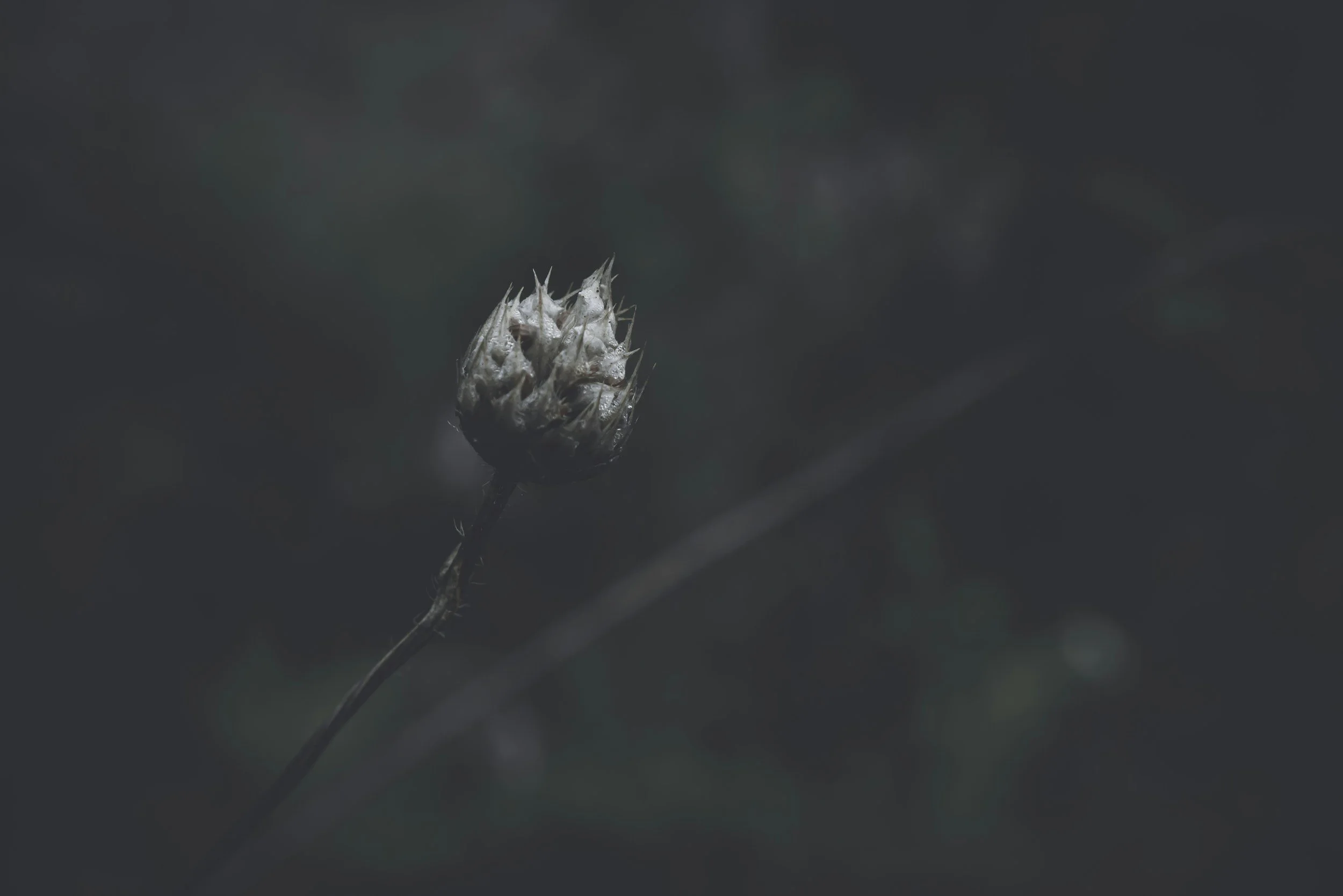 grief and family constellation work and rebirthing  breathwork