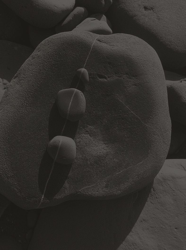 Geraldine ahern embodiment and grief retreats