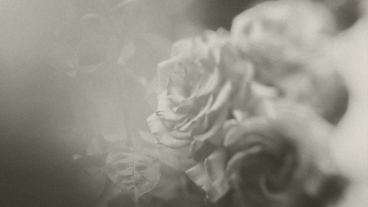 grief and family constellation work and rebirthing  breathwork