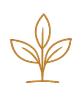 Breath & Nervous System