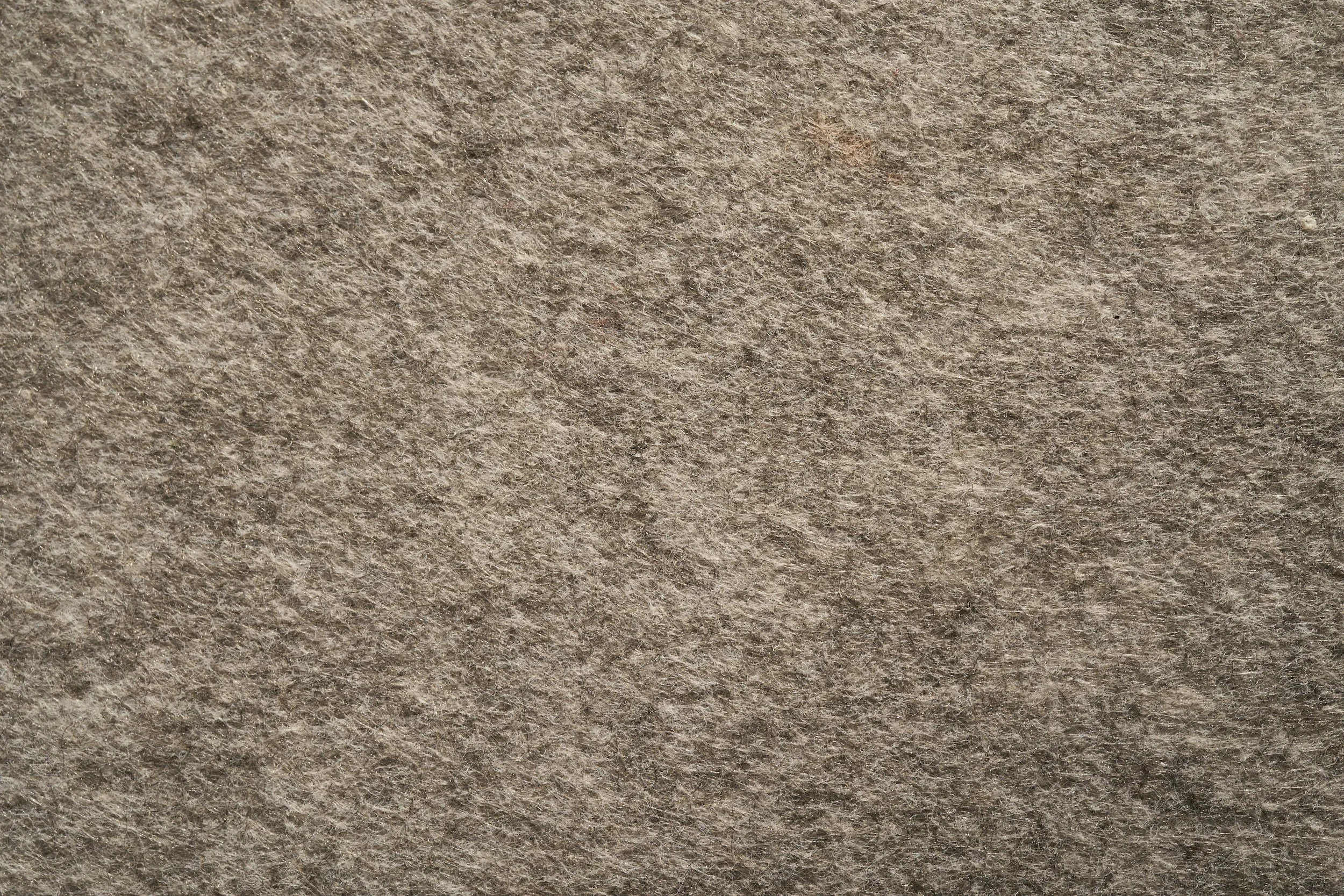 Aircraft Detailing | Carpet Shampoo and Extraction in Houston, TX