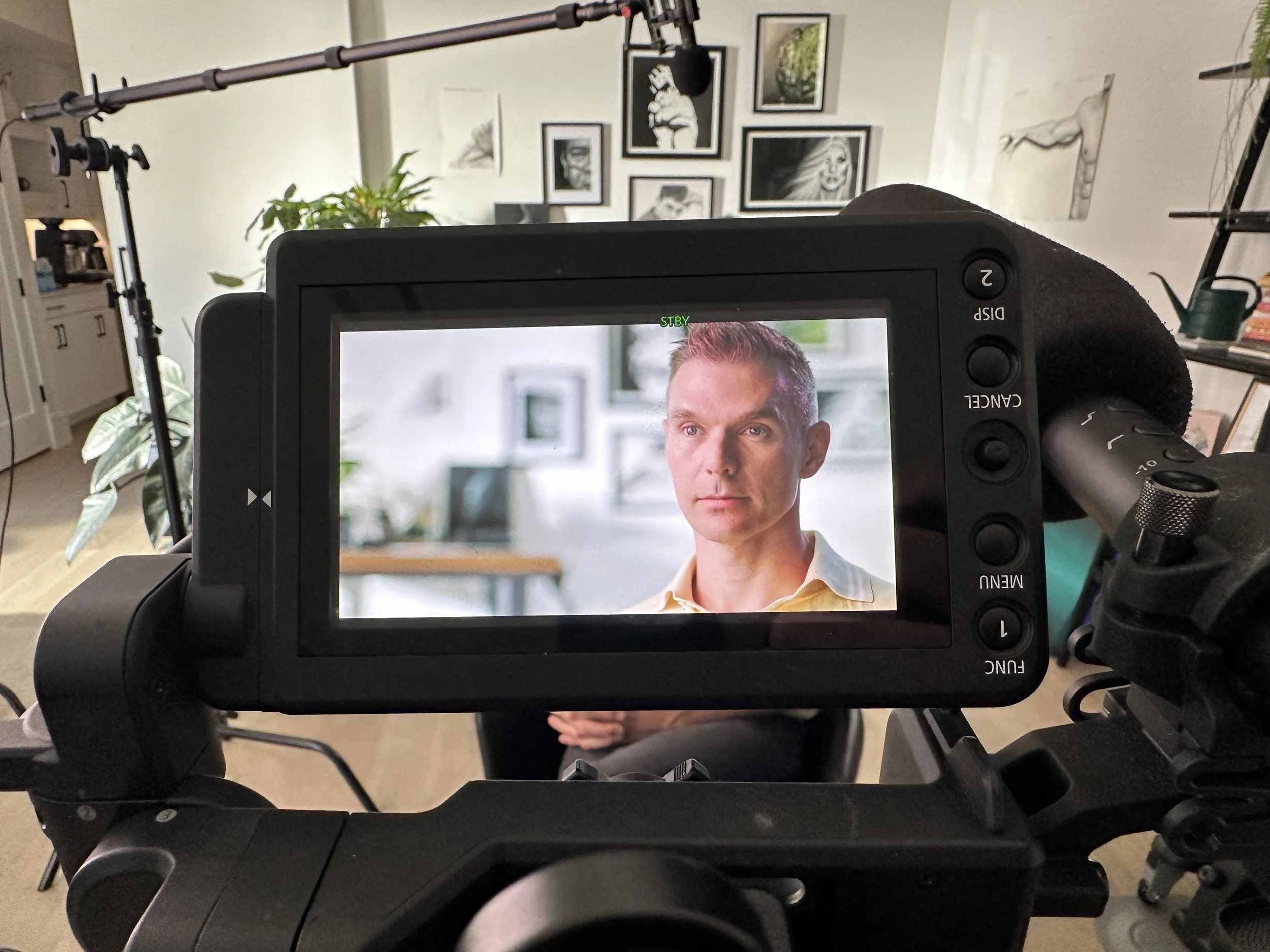 View through a camera screen showing a man with short hair and fair skin, wearing a light-colored collared shirt, set against a background of framed artwork and a leafy plant.