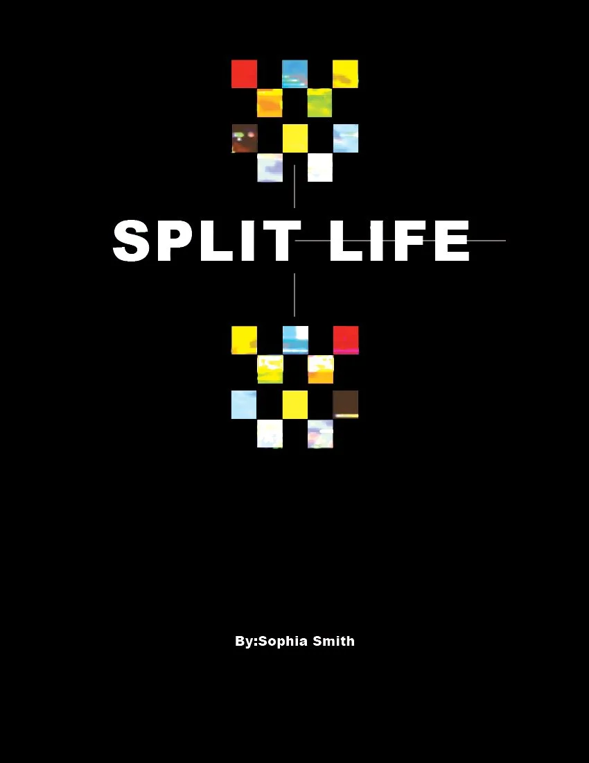 SPLIT LIFE.jpg