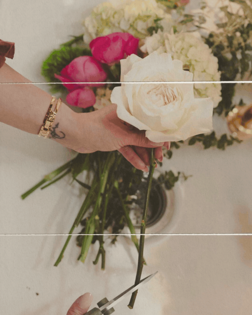 A person's hand is holding a large white rose with a pair of scissors nearby. There are pink and white flowers in a bouquet in the background.