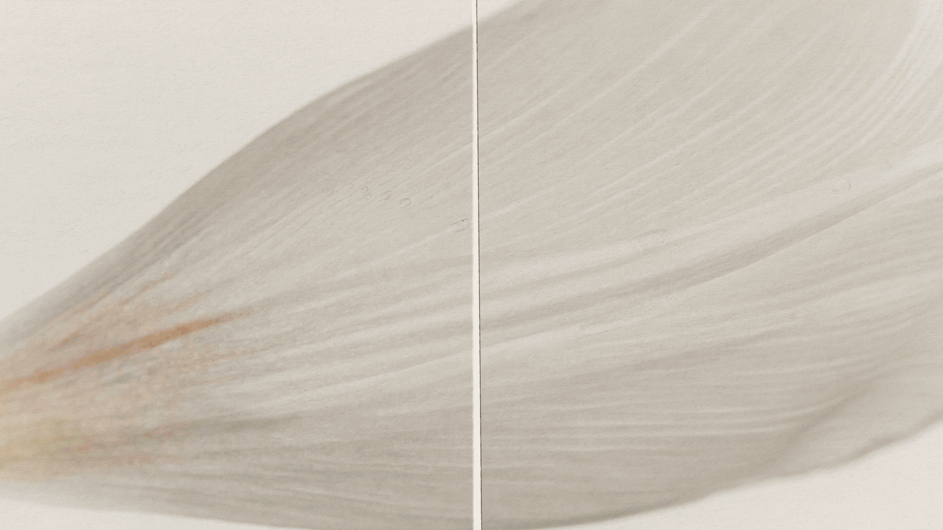 Close-up of a beige wooden surface with visible grain and texture, split at the center.