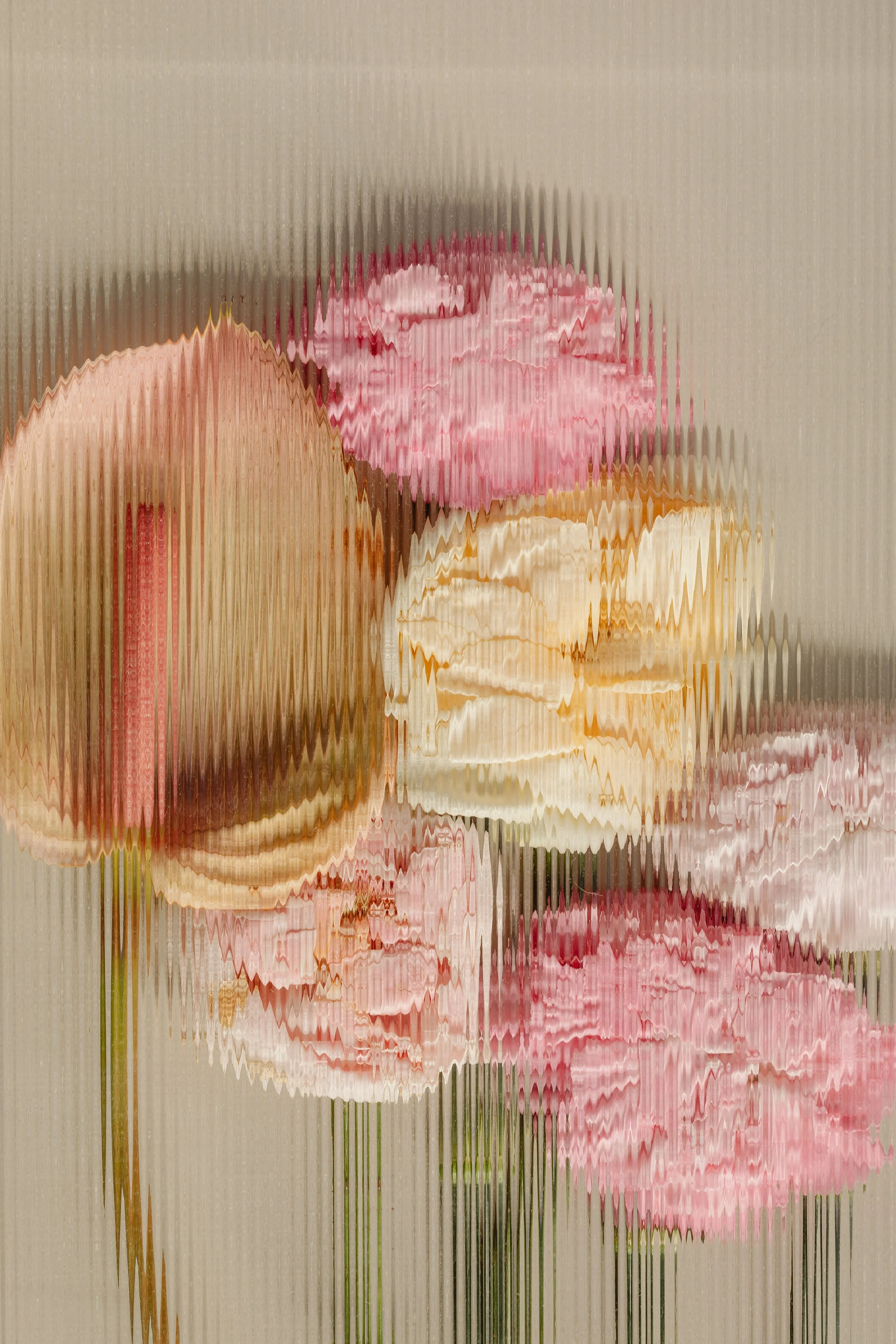 Distorted image of pink flowers with green stems on a beige background.
