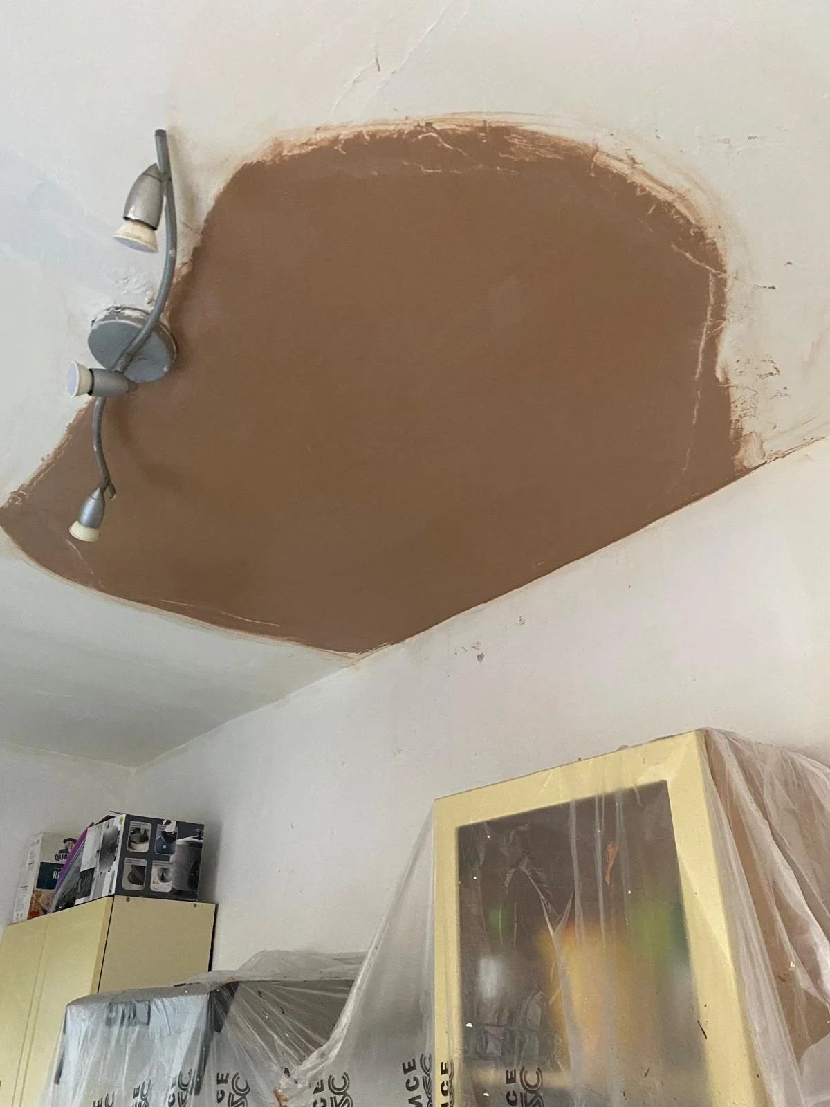 ceiling plaster sunderland