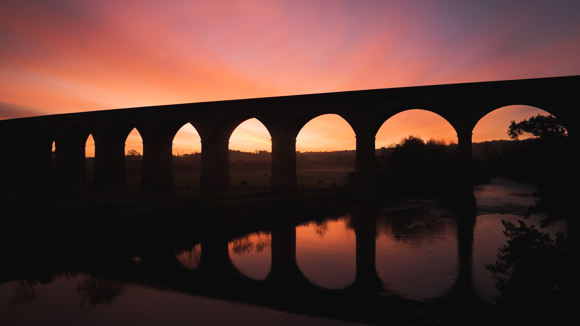 Drone shot of a bridge at sunrise from a documentary film