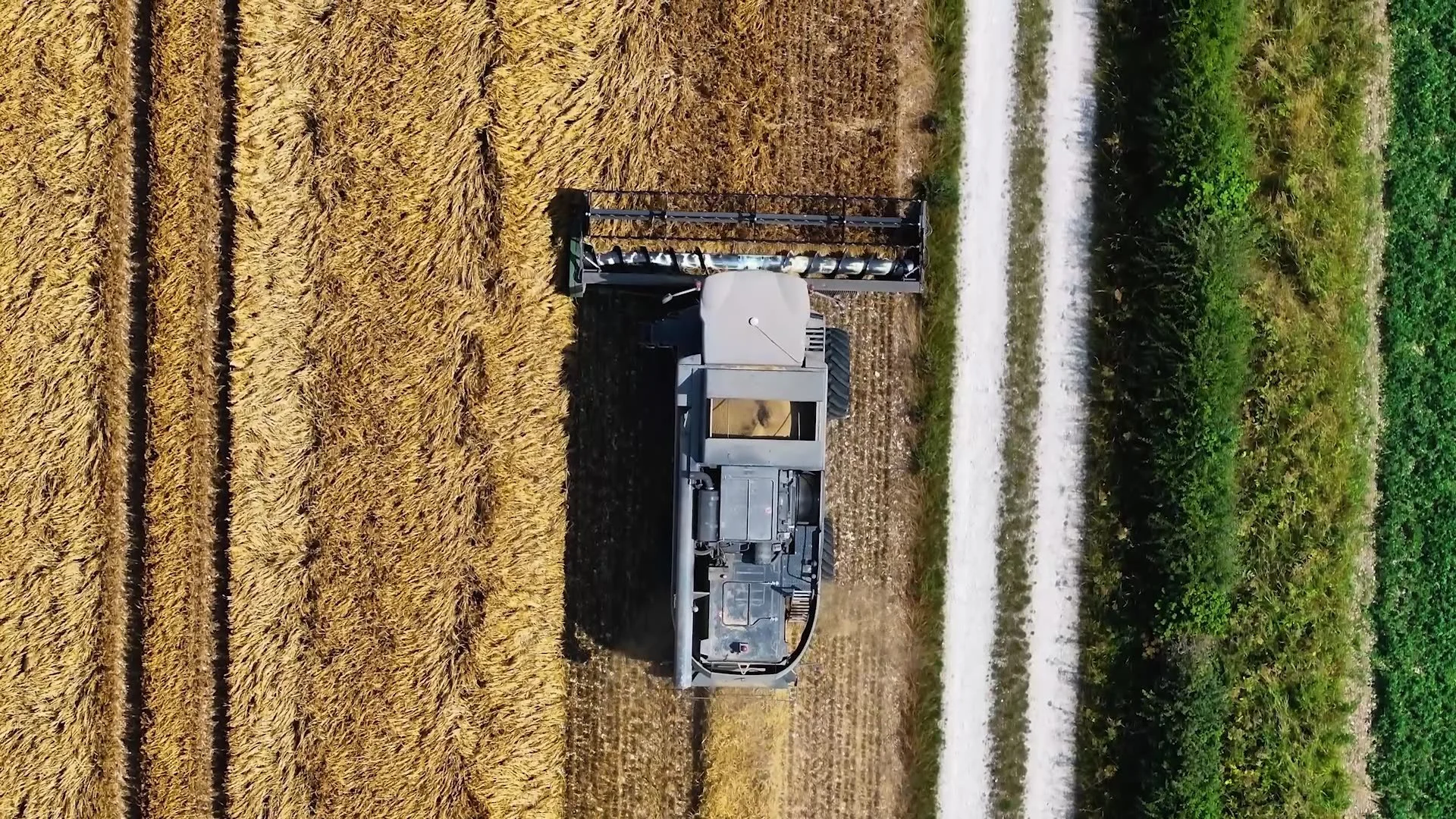 frame_1521.jpg