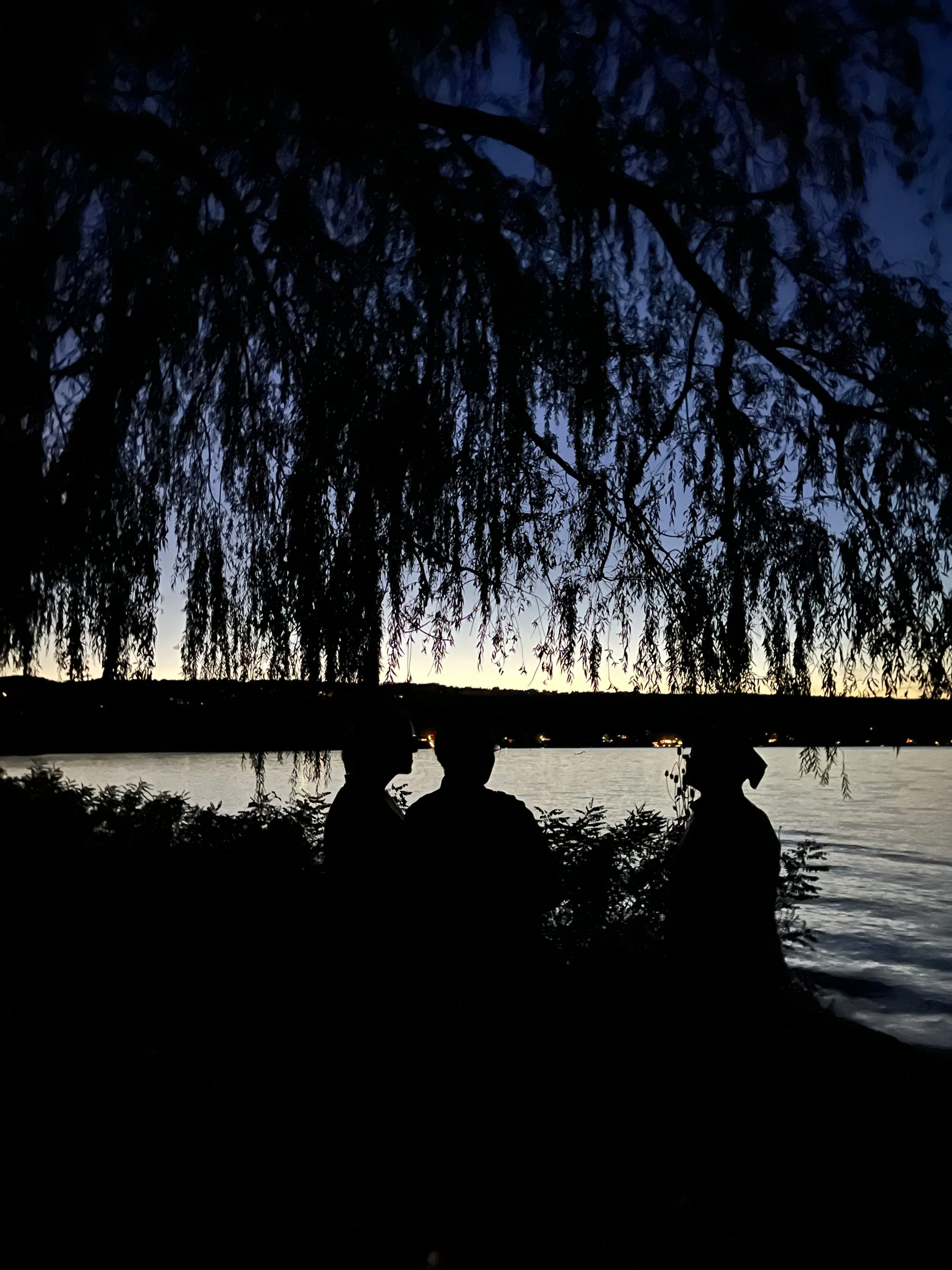 Silhouettes of three people sitting by a body of water beneath a large tree at dusk, with the sky transitioning from light to dark.