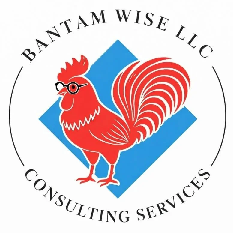 Bantam Wise LLC