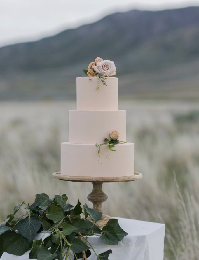 Three-tiered white wedding cake decorated with pink roses and greenery, set outdoors with mountains and a lake in the background.