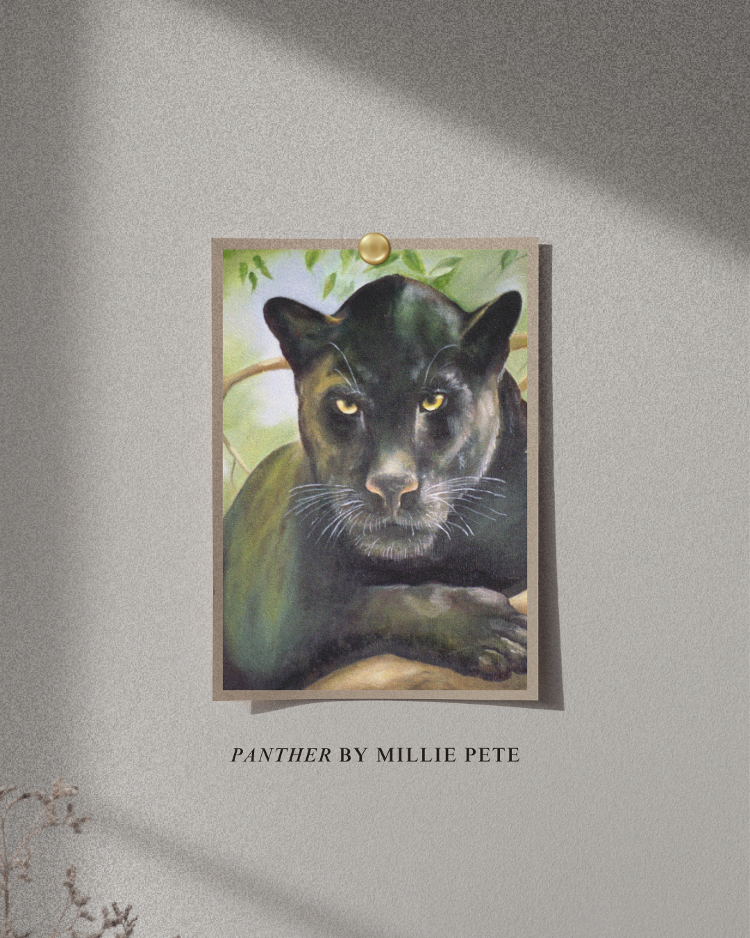 Panther