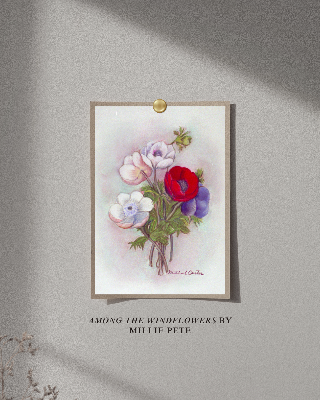 among the windflowers by millie Pete.png