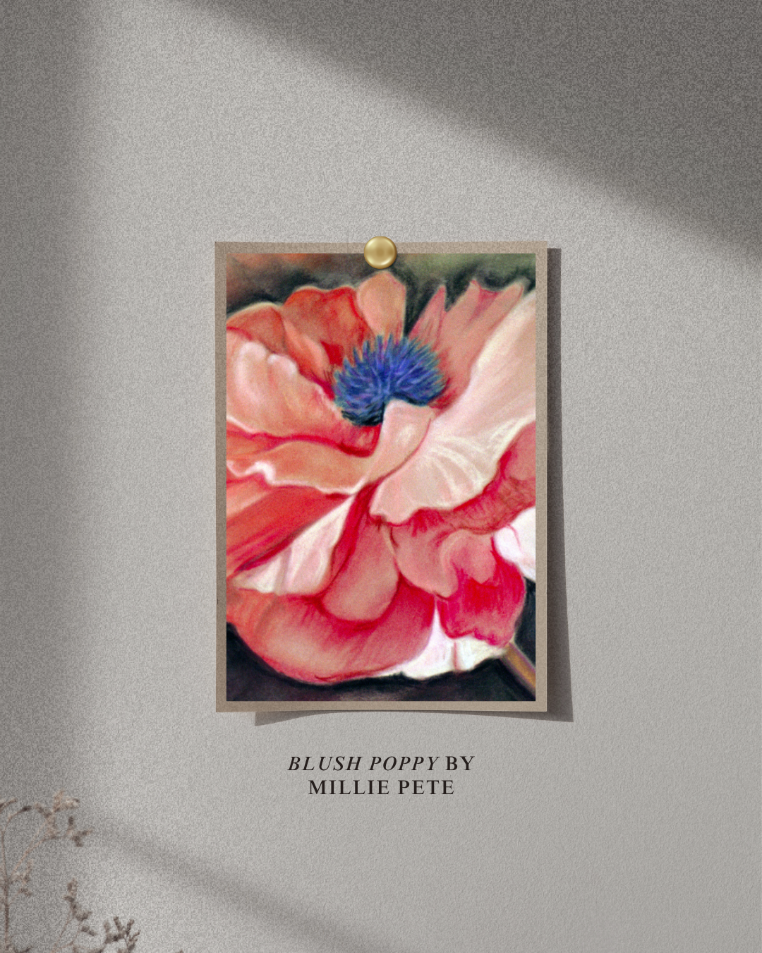 Blush Poppy