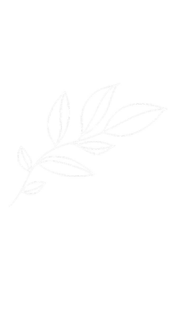 White line drawing of a leafy branch on a transparent background.
