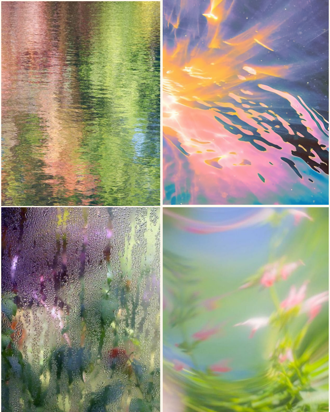 Collage of four abstract and nature-inspired images: top left shows colorful water reflections, top right depicts vibrant light reflections on water, bottom left features a rain-soaked window with blurred plants behind, bottom right displays a blurred, colorful flower scene.