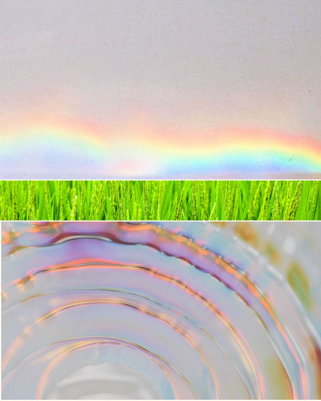 Composite image with a rainbow in the sky, green grass, and colorful ripples in water.