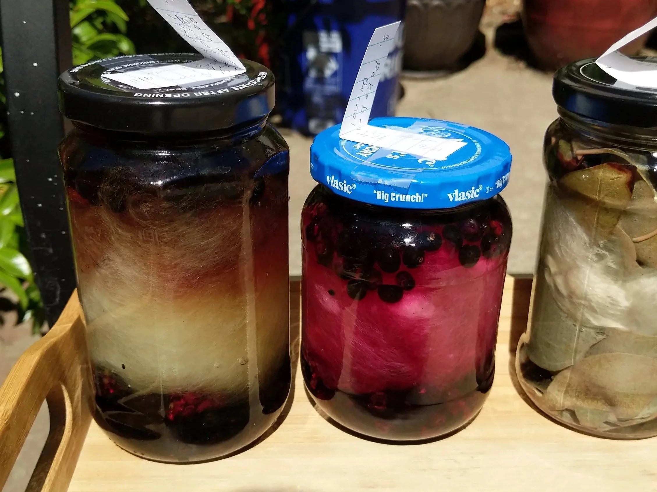 Solar Dye Experiment Jars