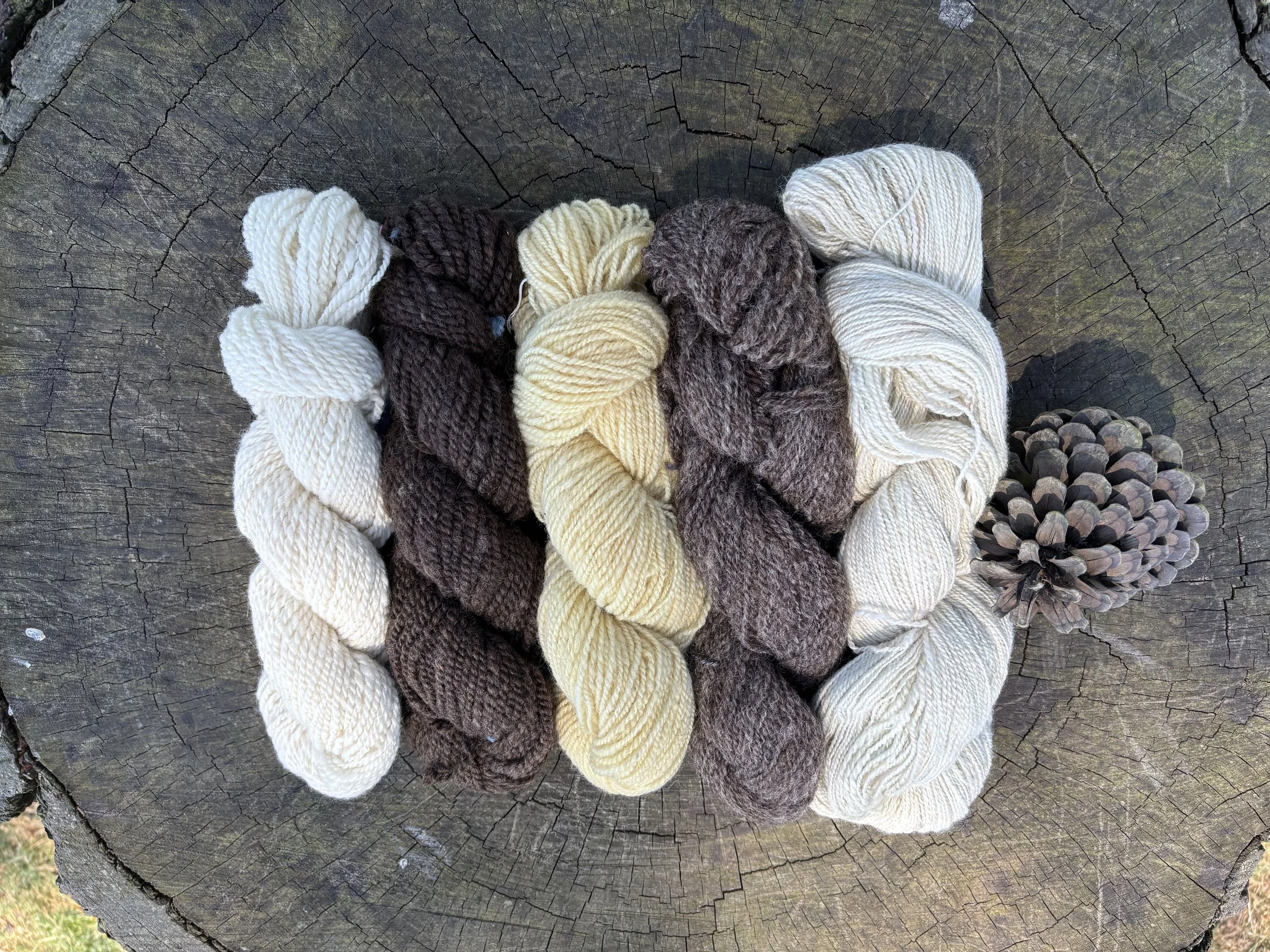 Individual Instruction for Spinners and Knitters