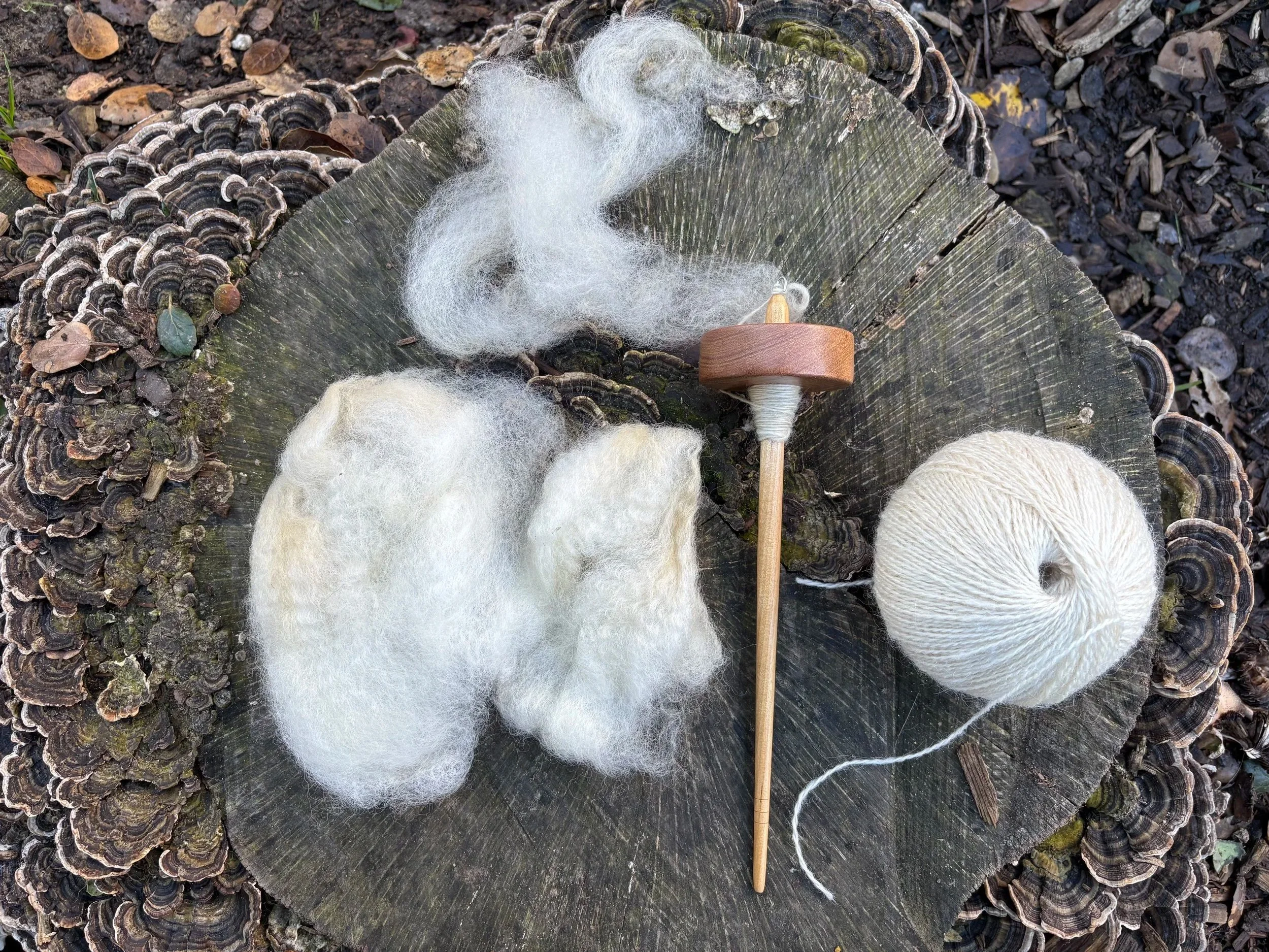 Beginning Spinning with a Drop Spindle: Date TBA
