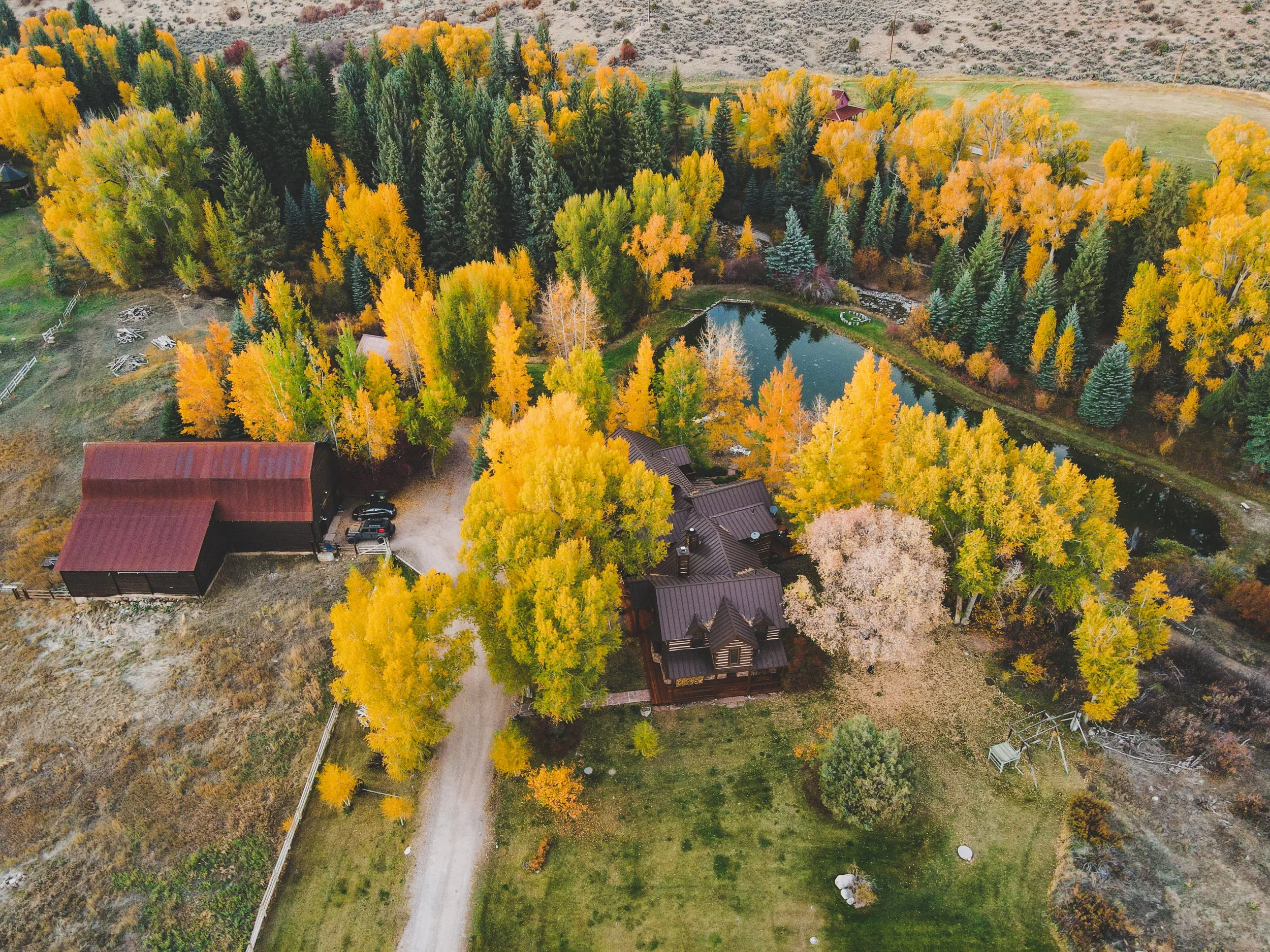 DJI_0012.jpg
