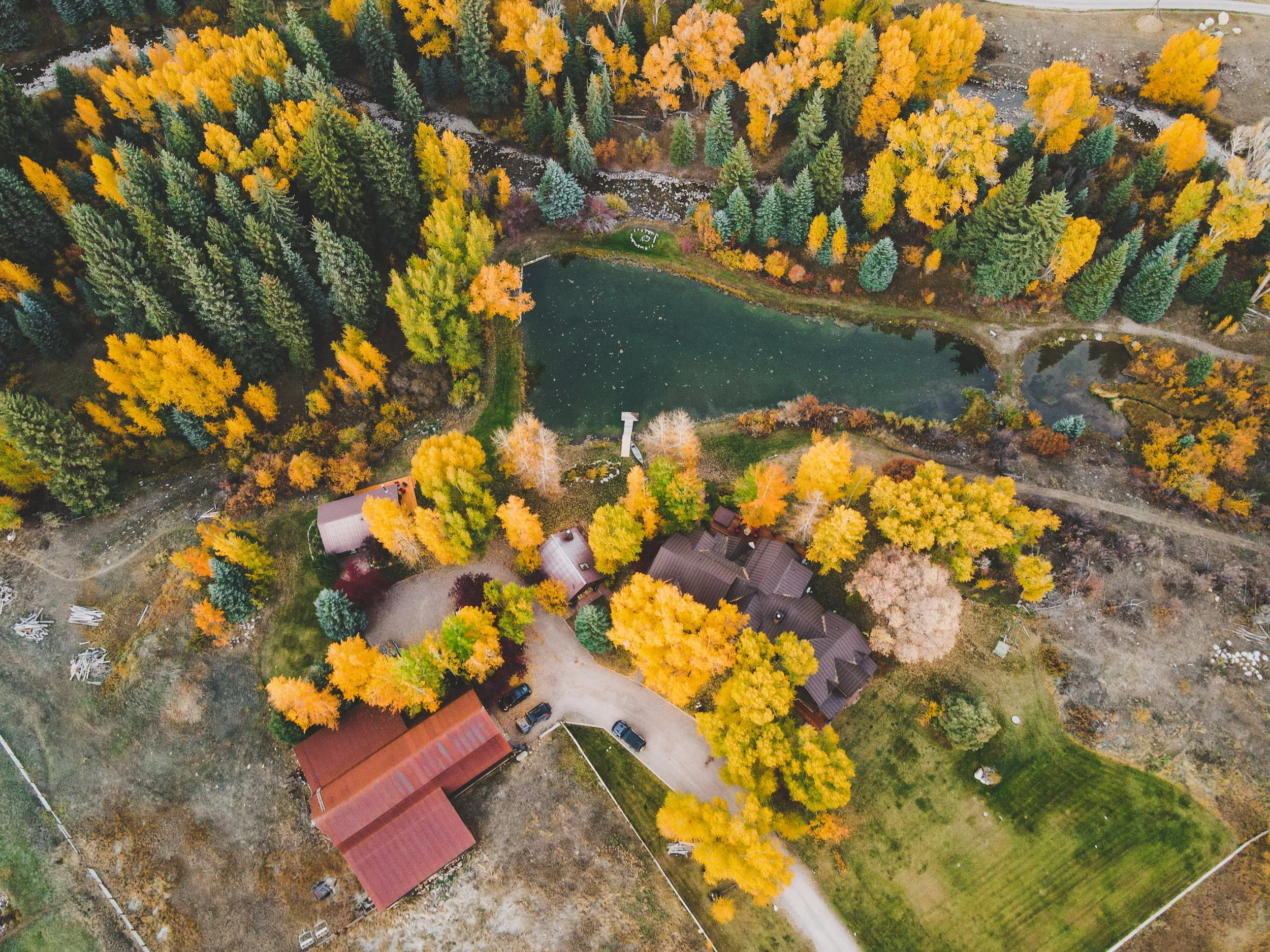 DJI_0006 (1).jpg