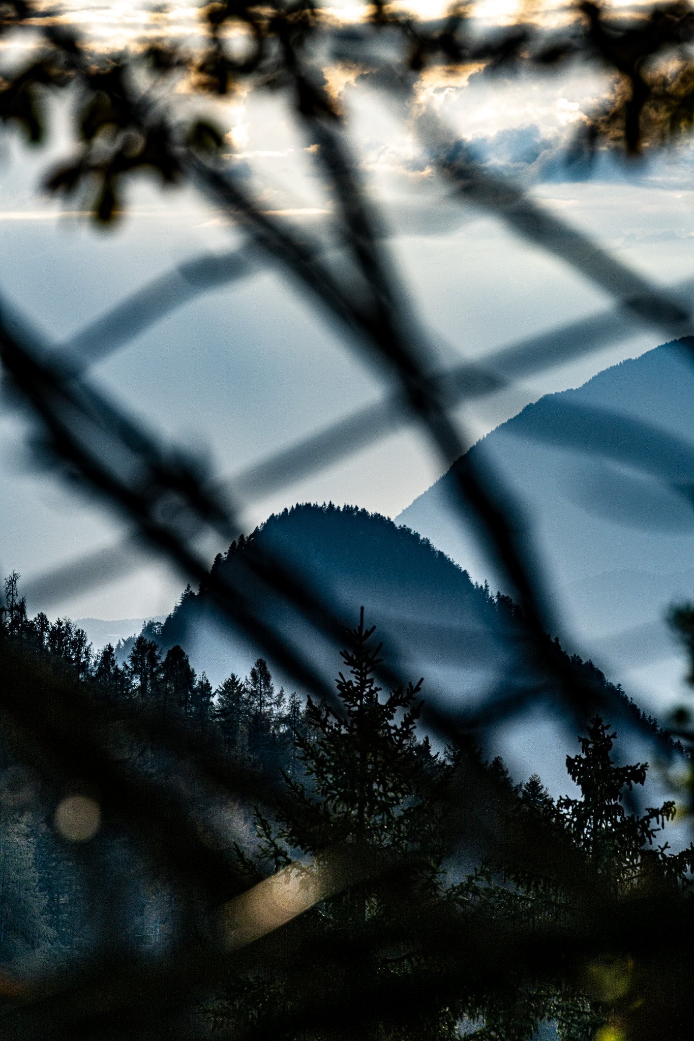_DSC9673.jpg