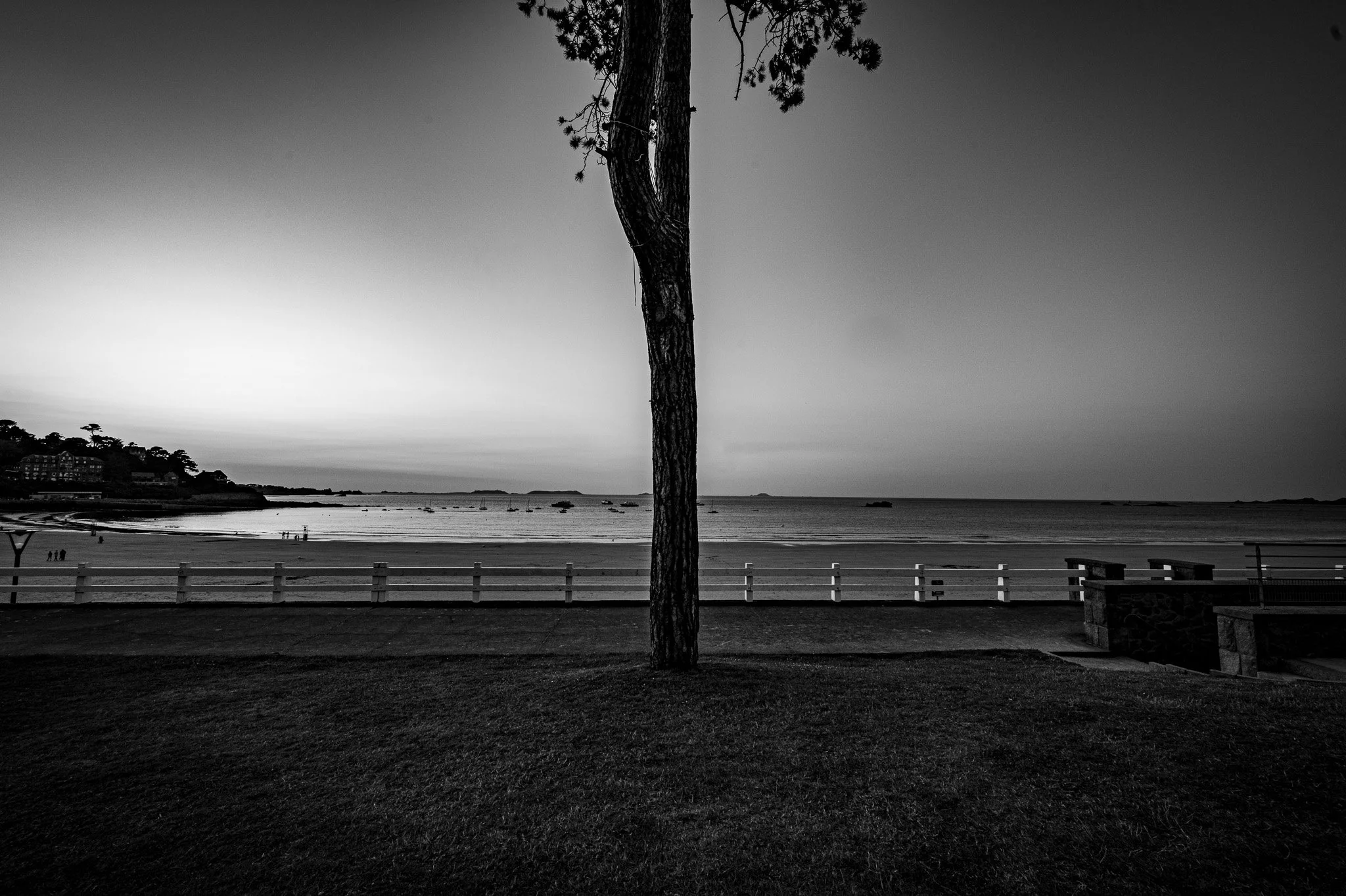 _DSC9053.jpg