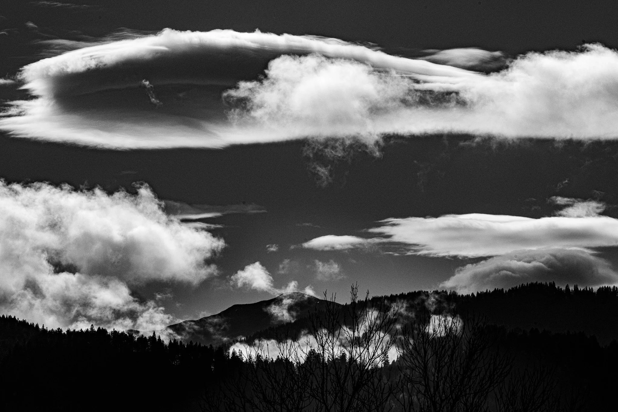 _DSC9697.jpg