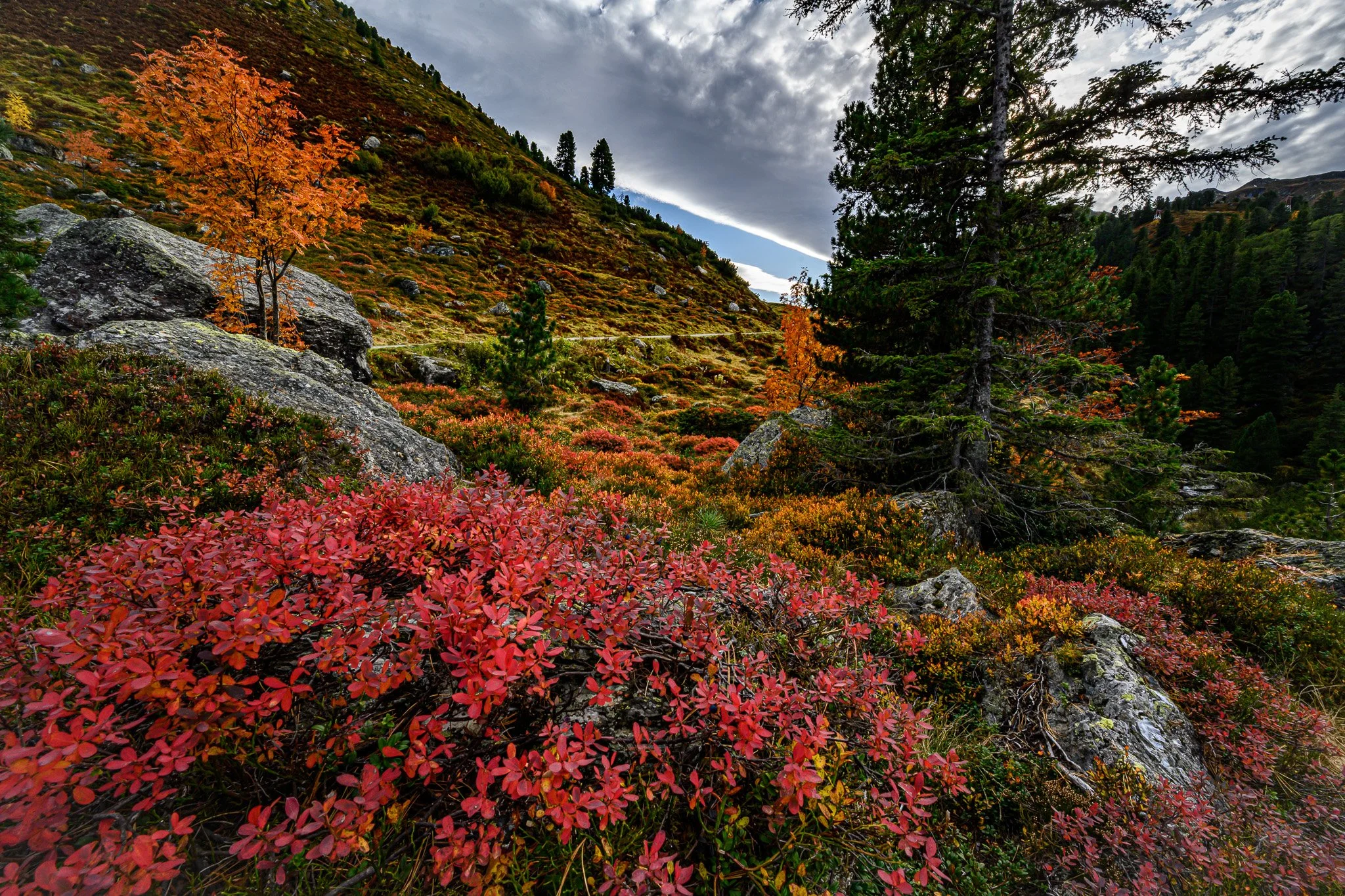 _DSC2840.jpg