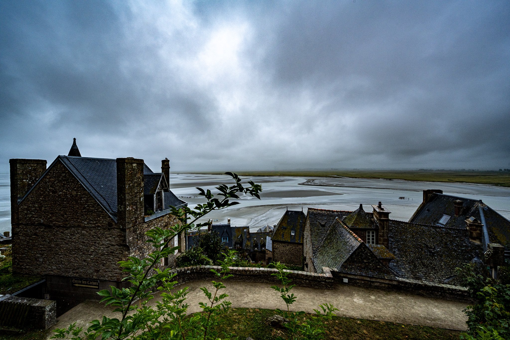 _DSC9286.jpg