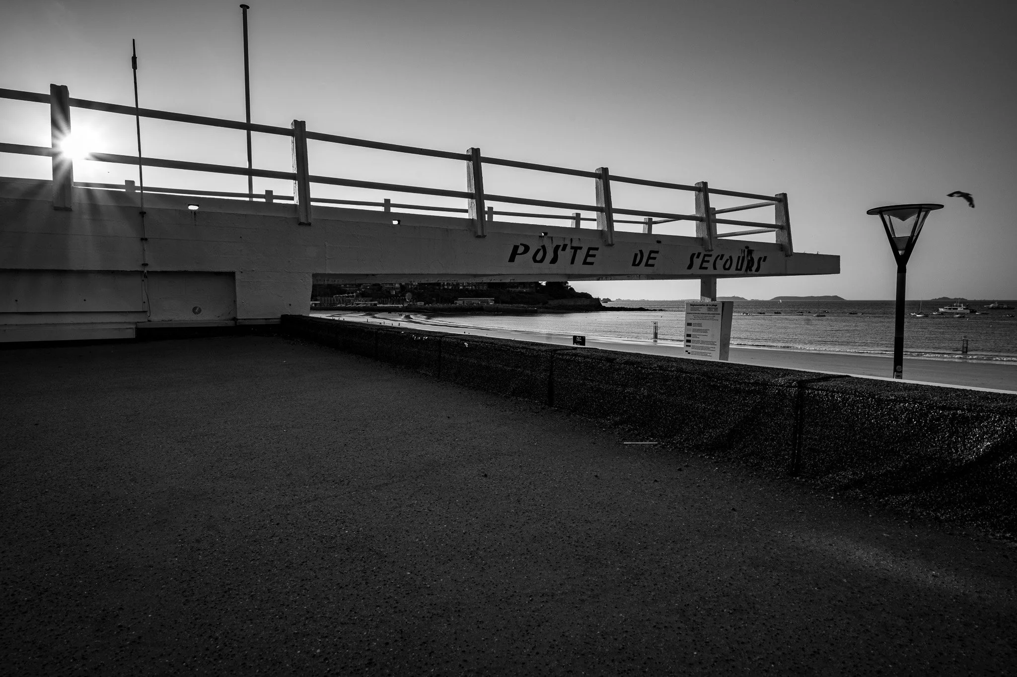 _DSC9043.jpg