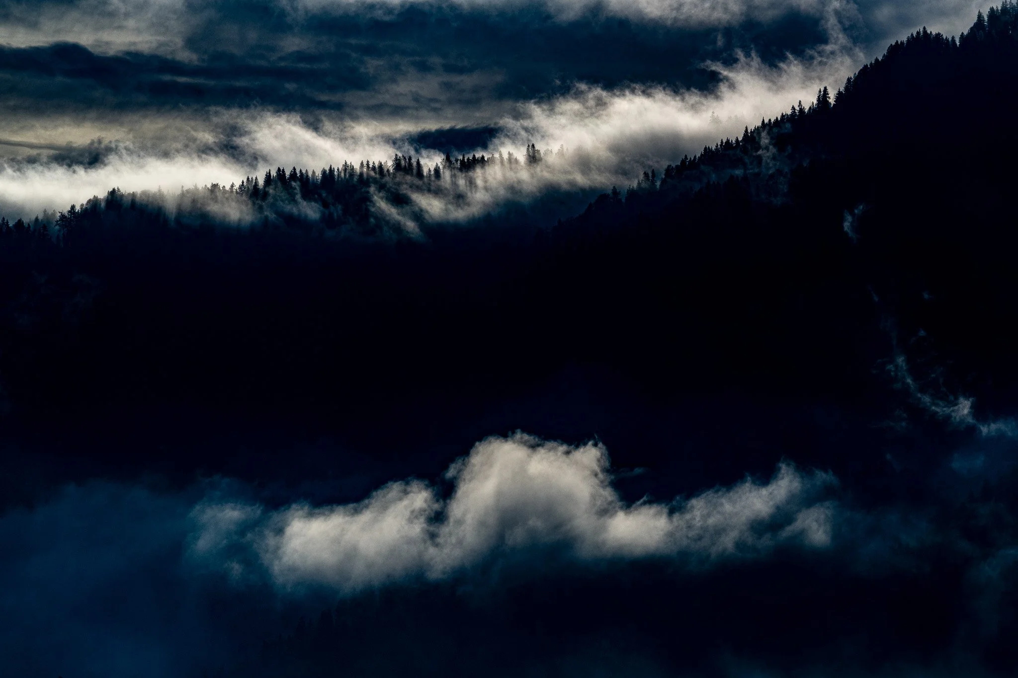 _DSC9690.jpg