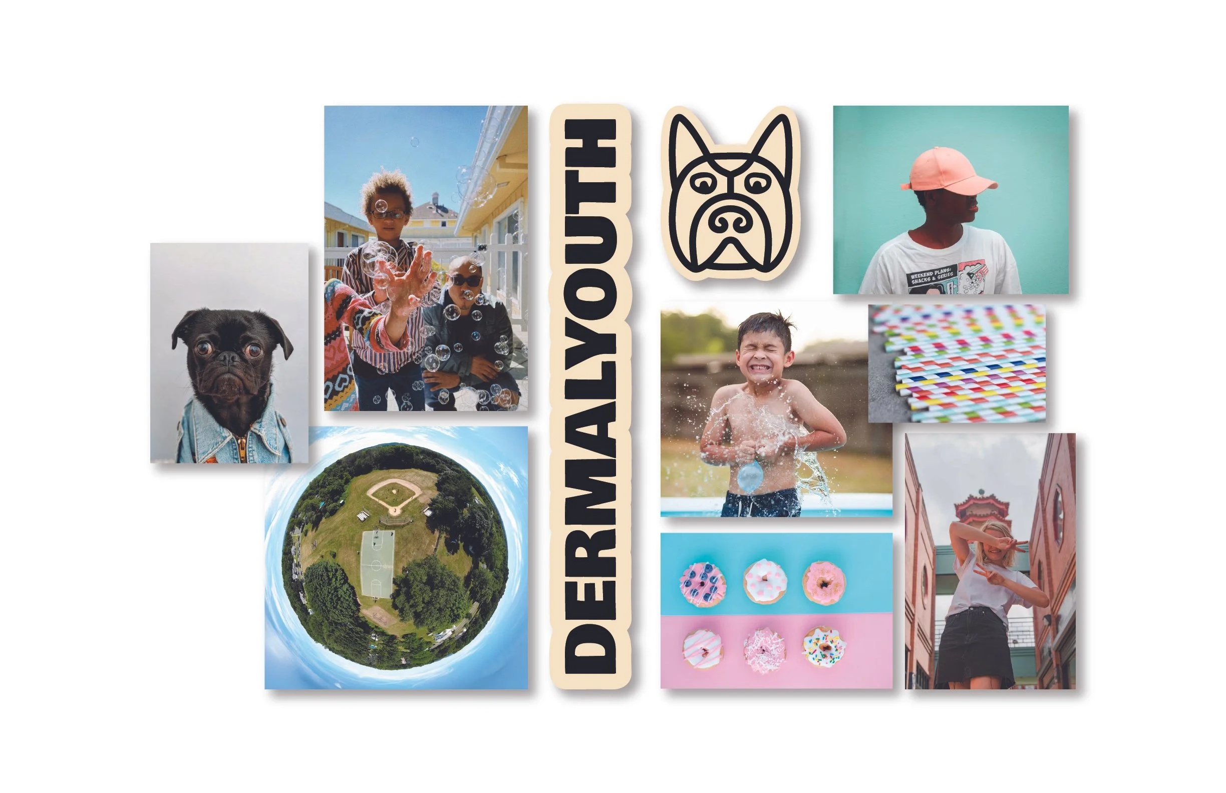 Collage of colorful images including children playing, a dog, donuts, and an aerial view of a park, with text reading 'Discover Daily' and a logo of a dog's face.