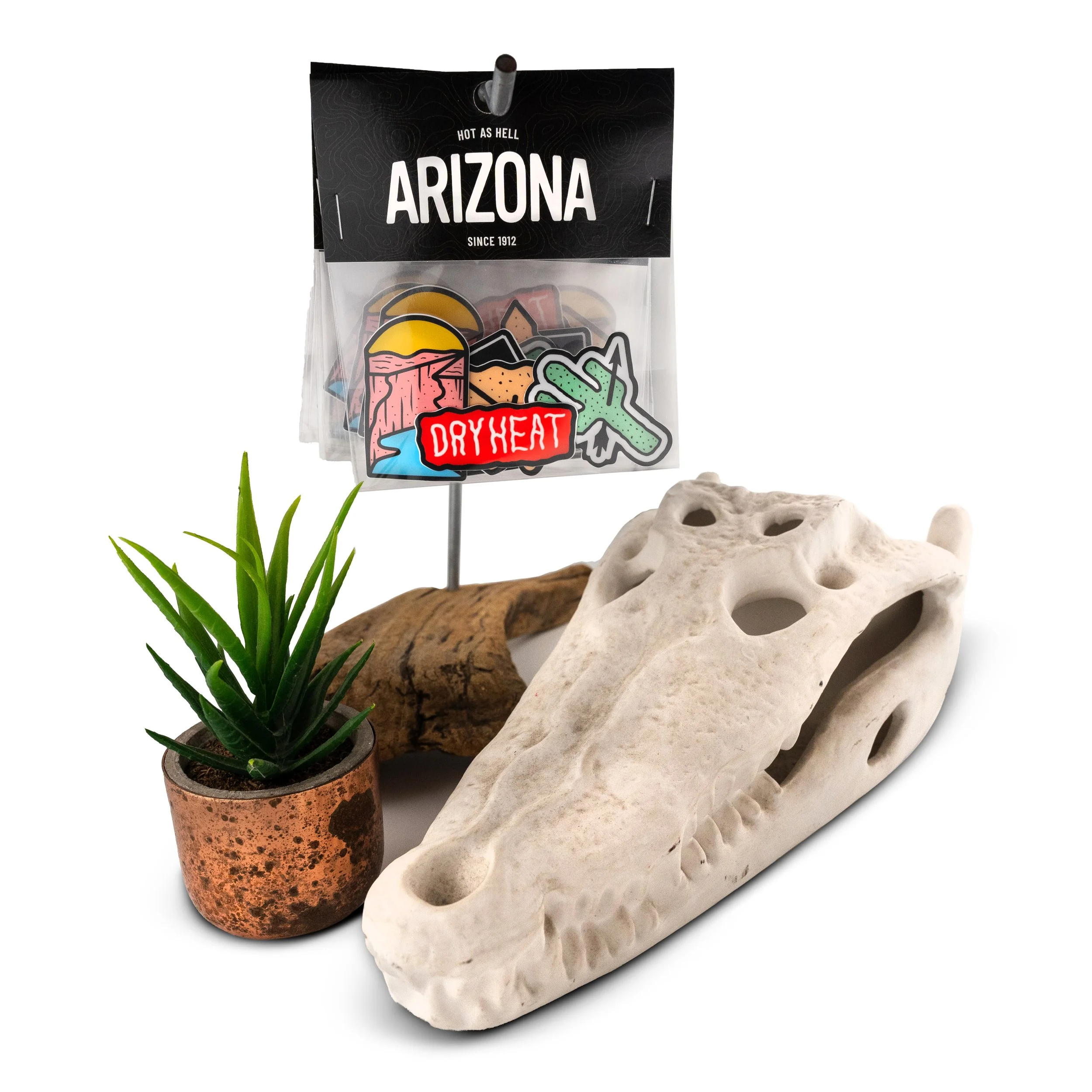 A potted green plant with long, pointed leaves, placed on a white surface among various rocks and a decorative mountain-shaped object, with part of a sign that says "Arizona" in the background.