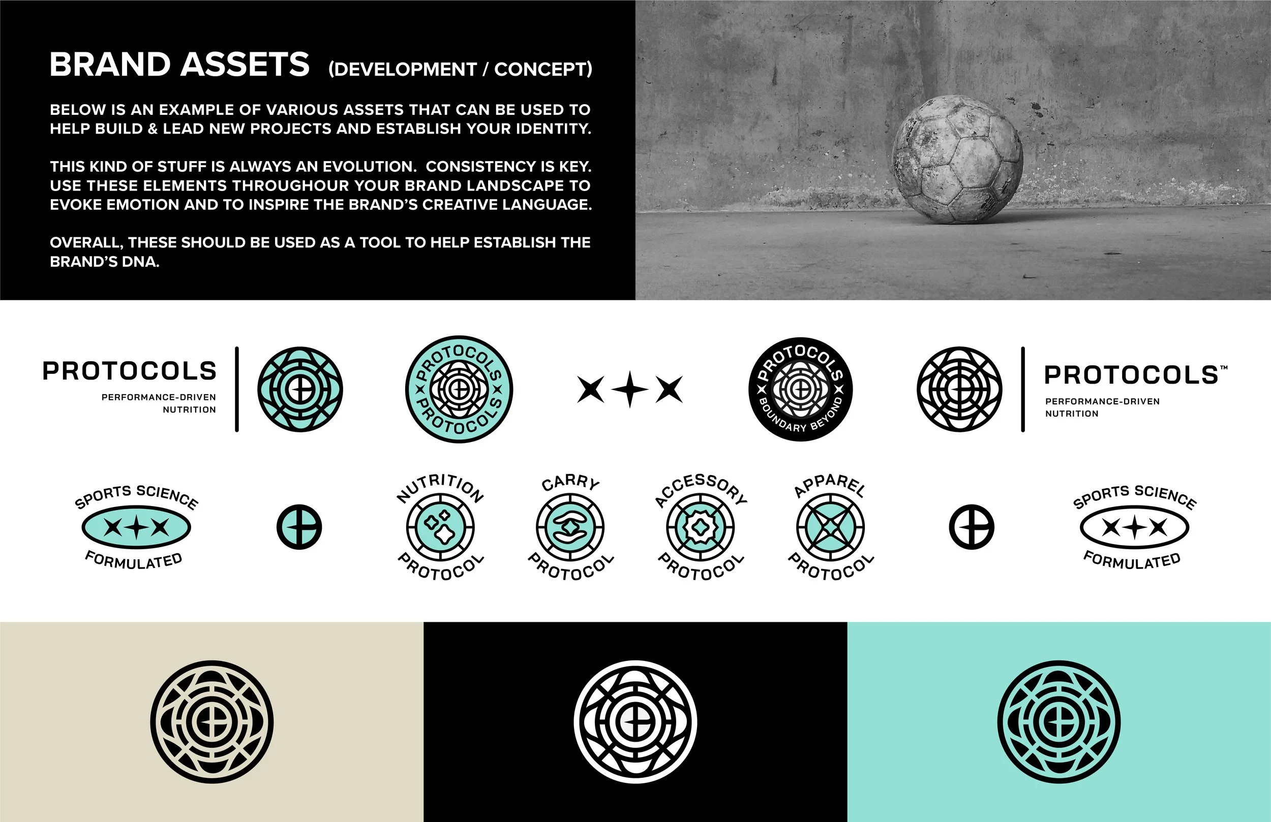 A black and white infographic titled 'Brand Assets (Development / Concept)' explaining the use of various assets in building and establishing a brand. Contains sections with symbols and icons representing protocols for performance-driven nutrition, s