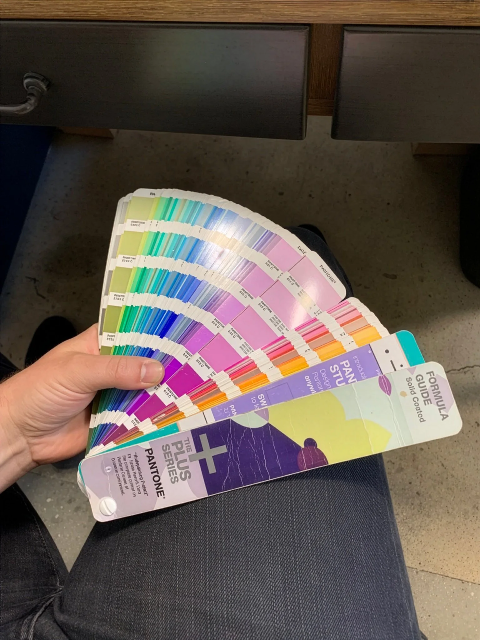 Person holding a colorful paint series fan deck while sitting on a chair, with part of their leg visible. The fan deck displays various shades of paint colors arranged in a semi-circular pattern.