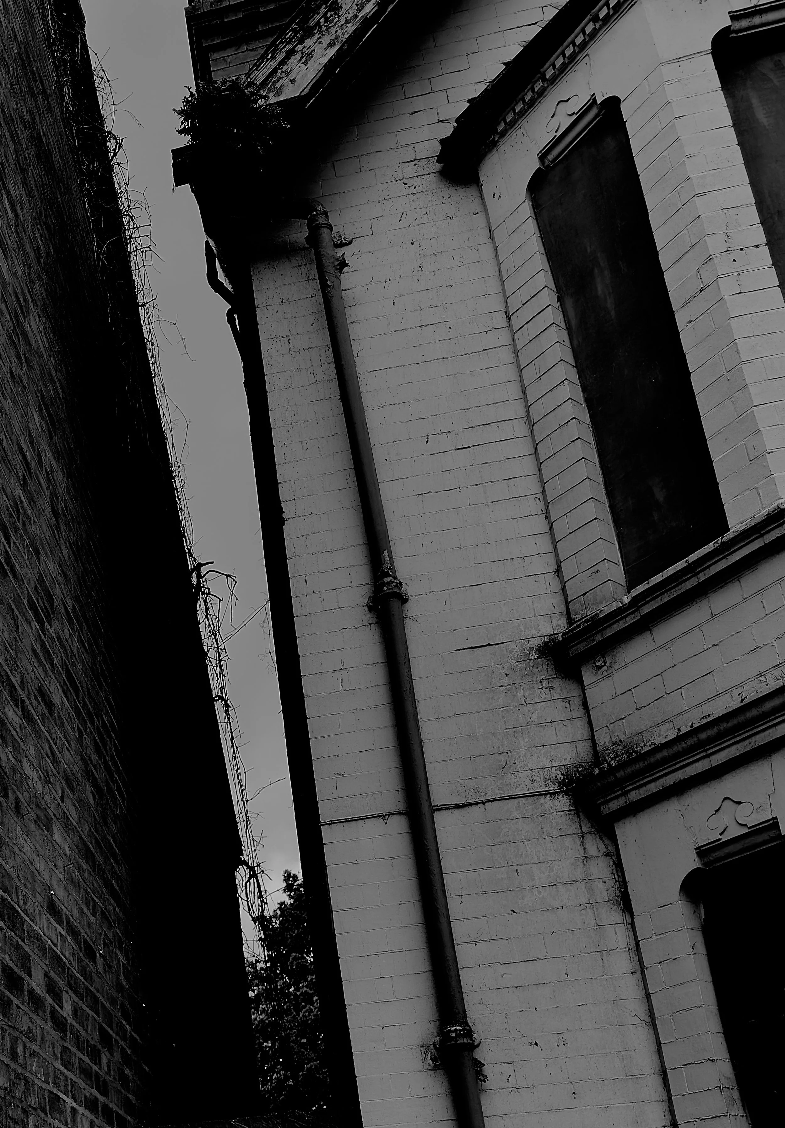 Upward perspective through a narrow brick alleyway — lines converging toward the sky, where trees and rooftops meet in stark contrast.