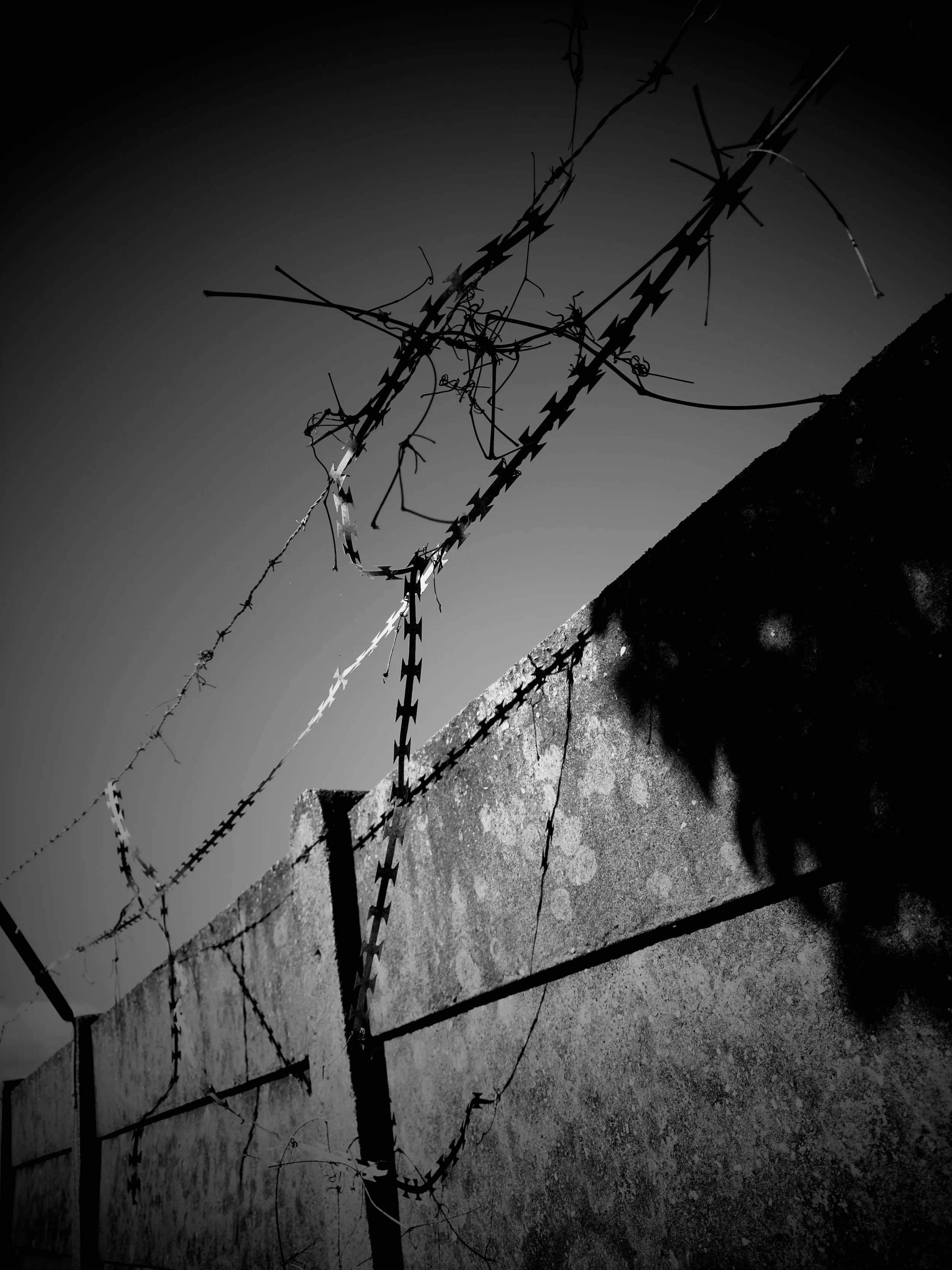 Black‑and‑white photograph of barbed wire tangled above a concrete wall under clear daylight. The sharp metal strands cast angular shadows across the surface, evoking themes of isolation and boundary within Paul Arden’s urban visual style.