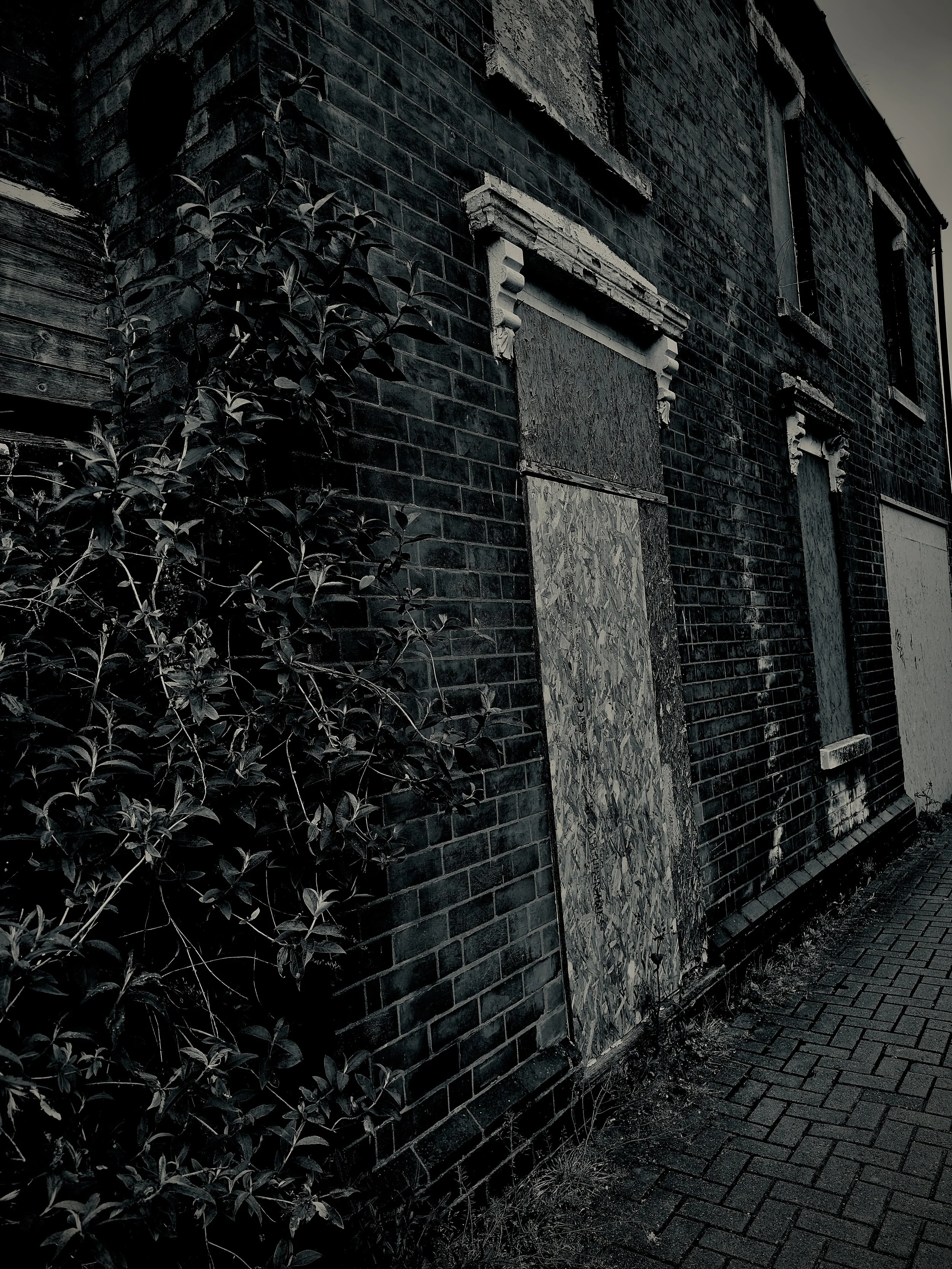 Derelict brick structure with boarded windows and creeping ivy — a haunting study in texture and silence, steeped in urban melancholy.