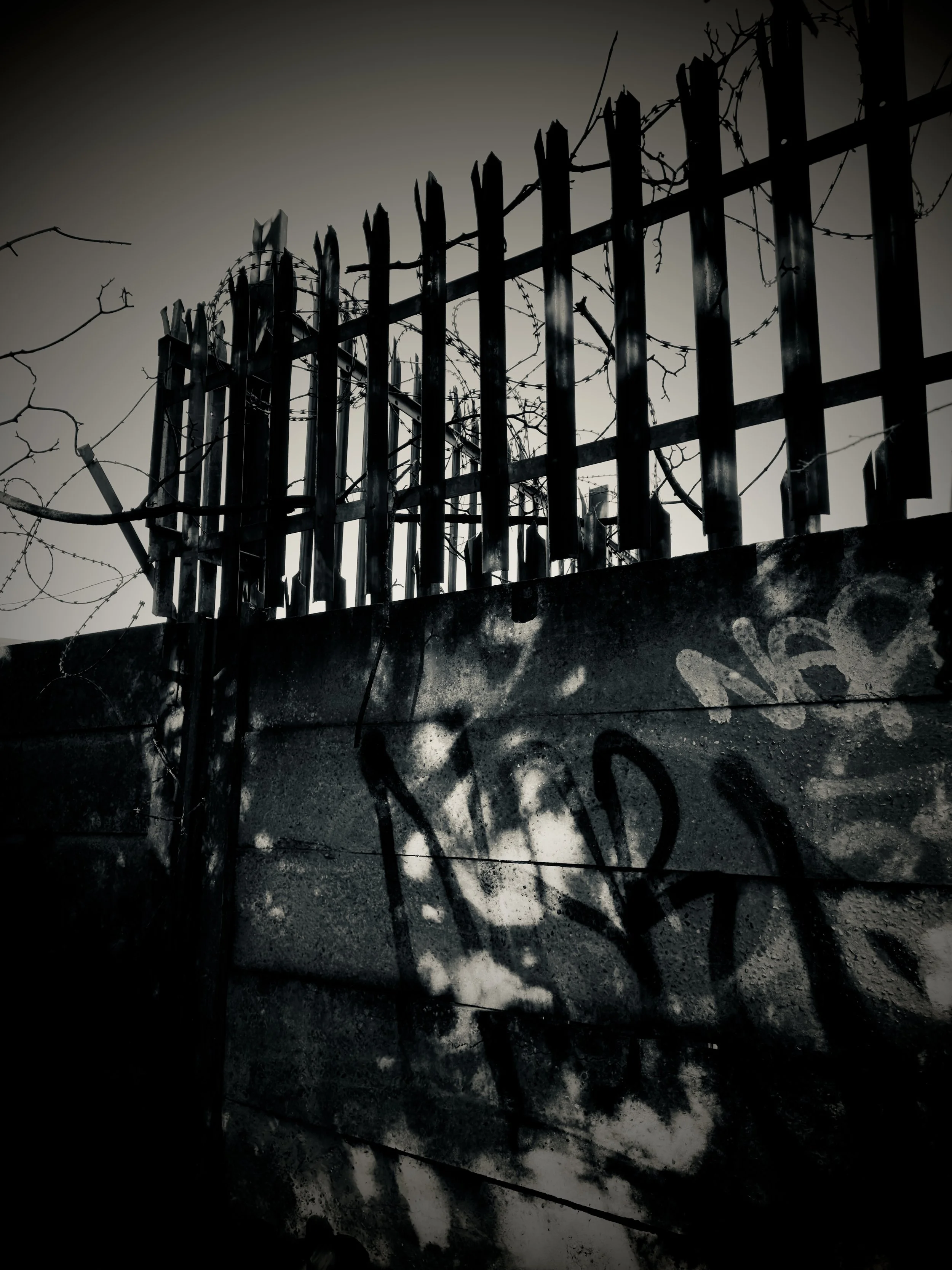 Black‑and‑white photograph of a graffiti‑covered concrete wall topped with metal fencing and barbed wire. The stark composition and rough textures evoke themes of confinement and urban decay, reflecting Paul Arden’s cinematic visual style.