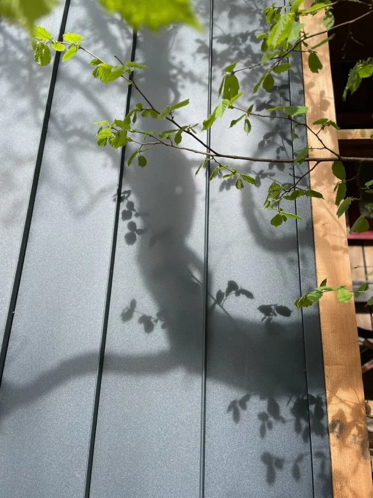 B185693F-3895-4F42-A217-5E69DA93FC7D_1_105_c.jpeg
