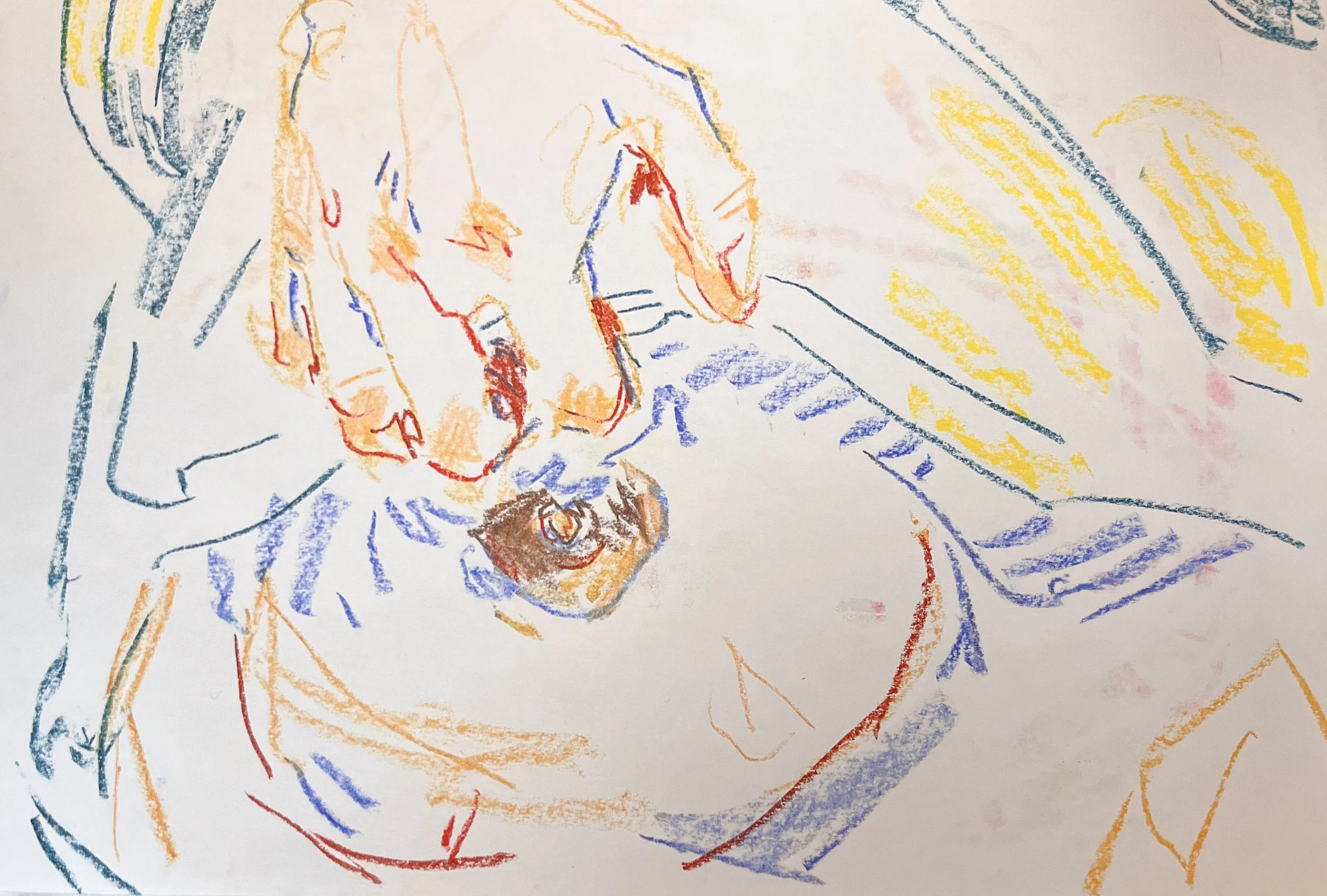 Reveal, Soft Pastel