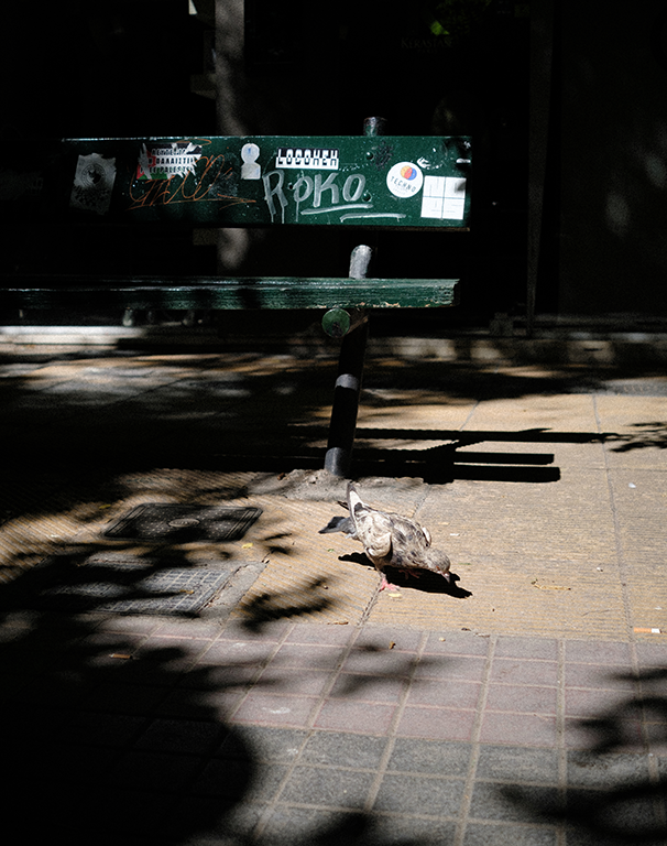 Bench Bird.png