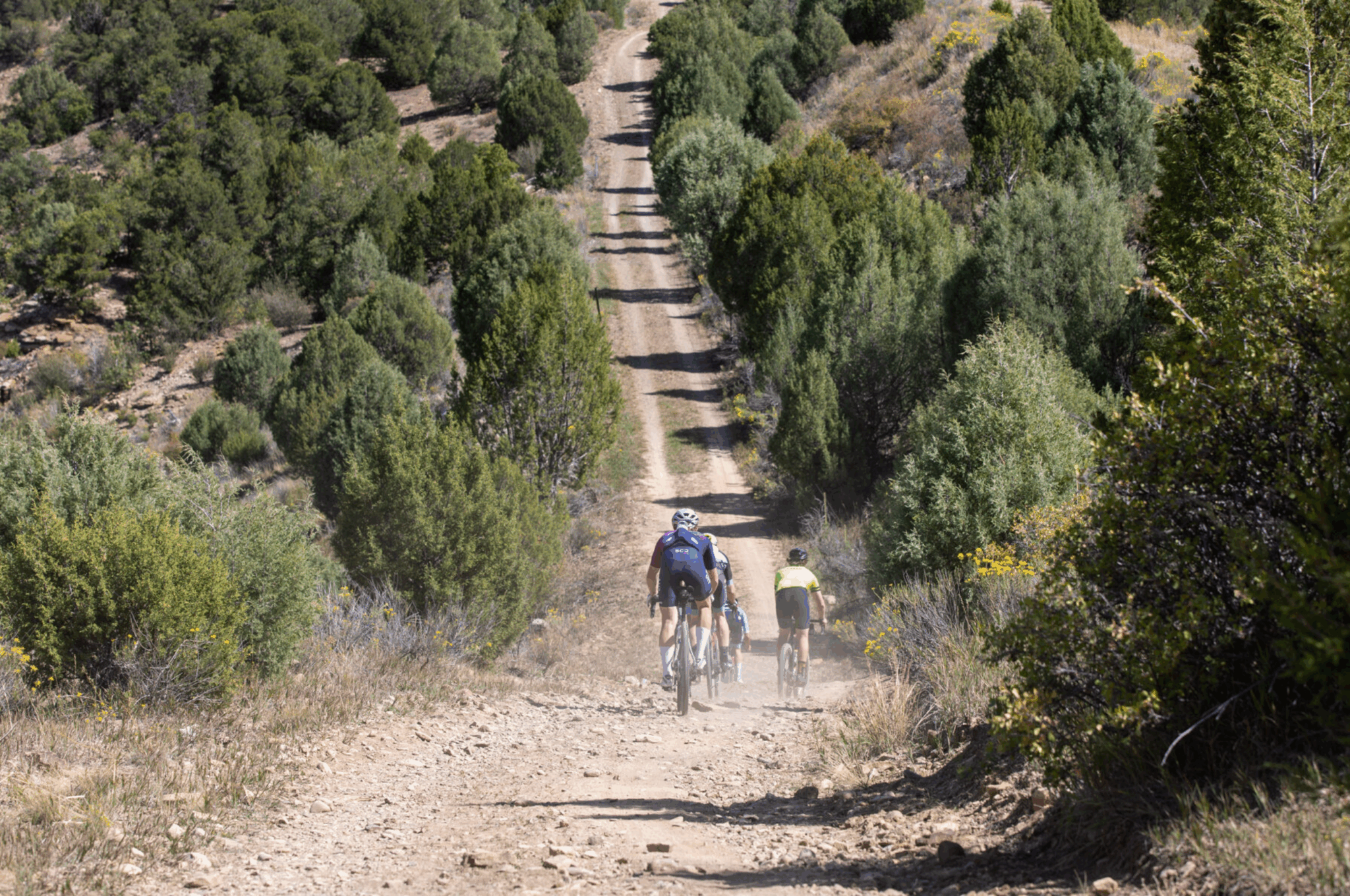 A group of mountain bikers riding on a dirt trail through a forested area with trees and bushes around.