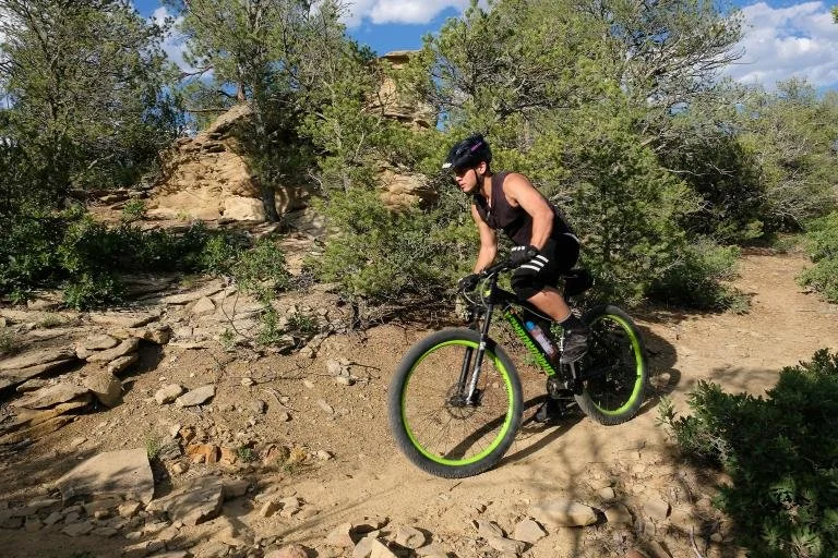 A person mountain biking on a dirt trail surrounded by bushes and trees with a cloudy sky in the background.