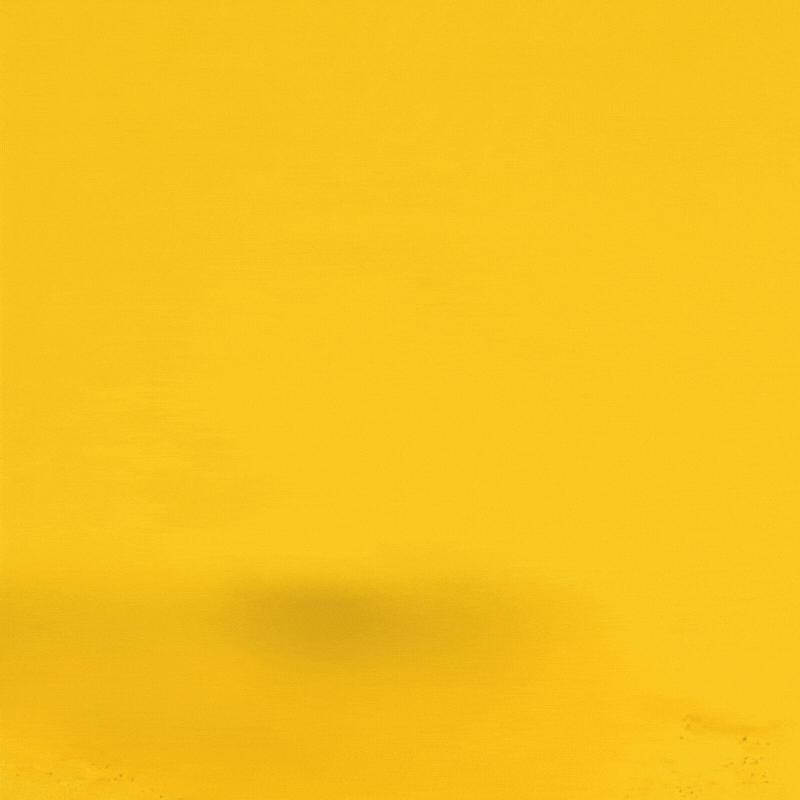 lemonheatsavü (800 x 800 px Video).gif