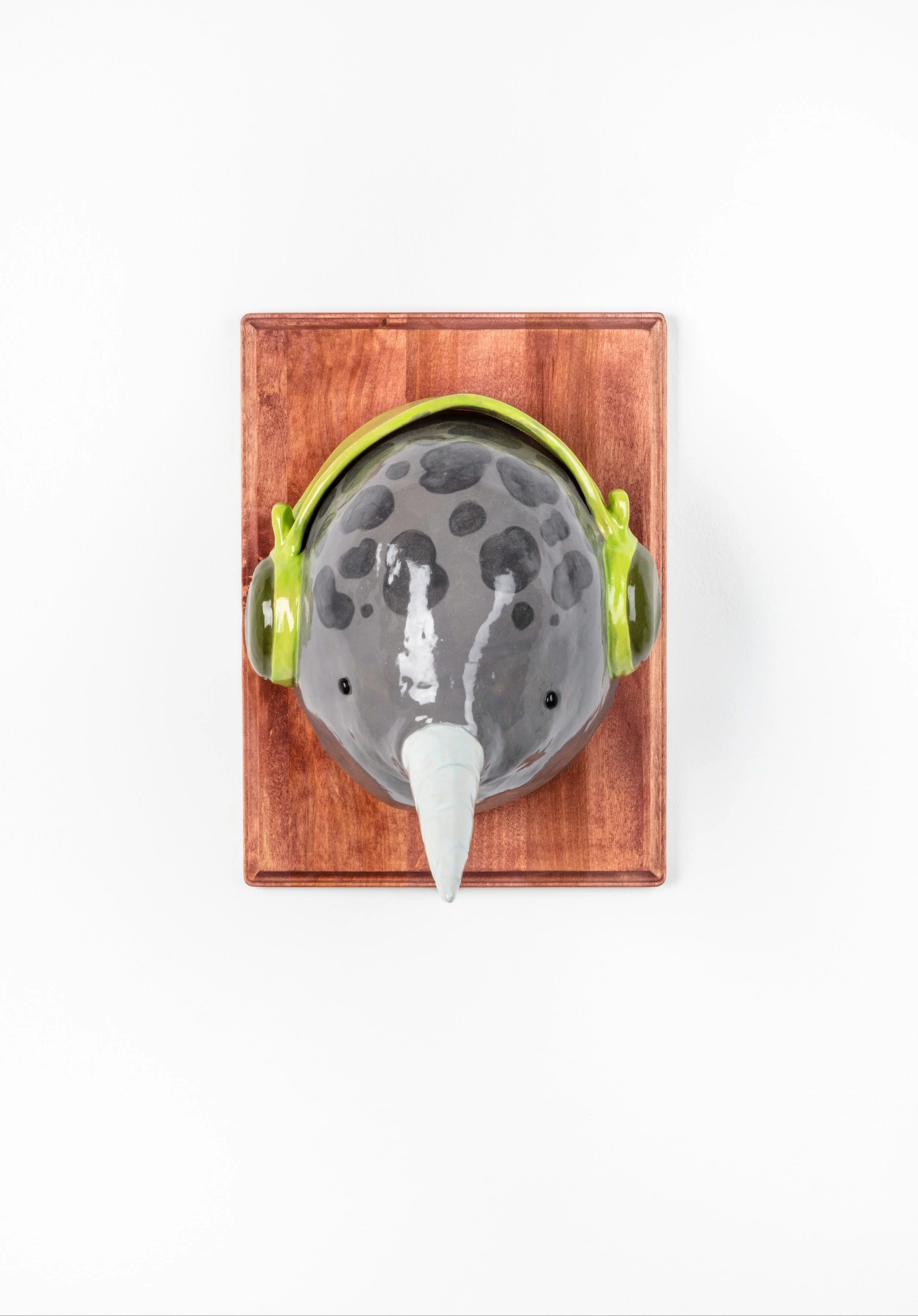 Audiophile Narwhale